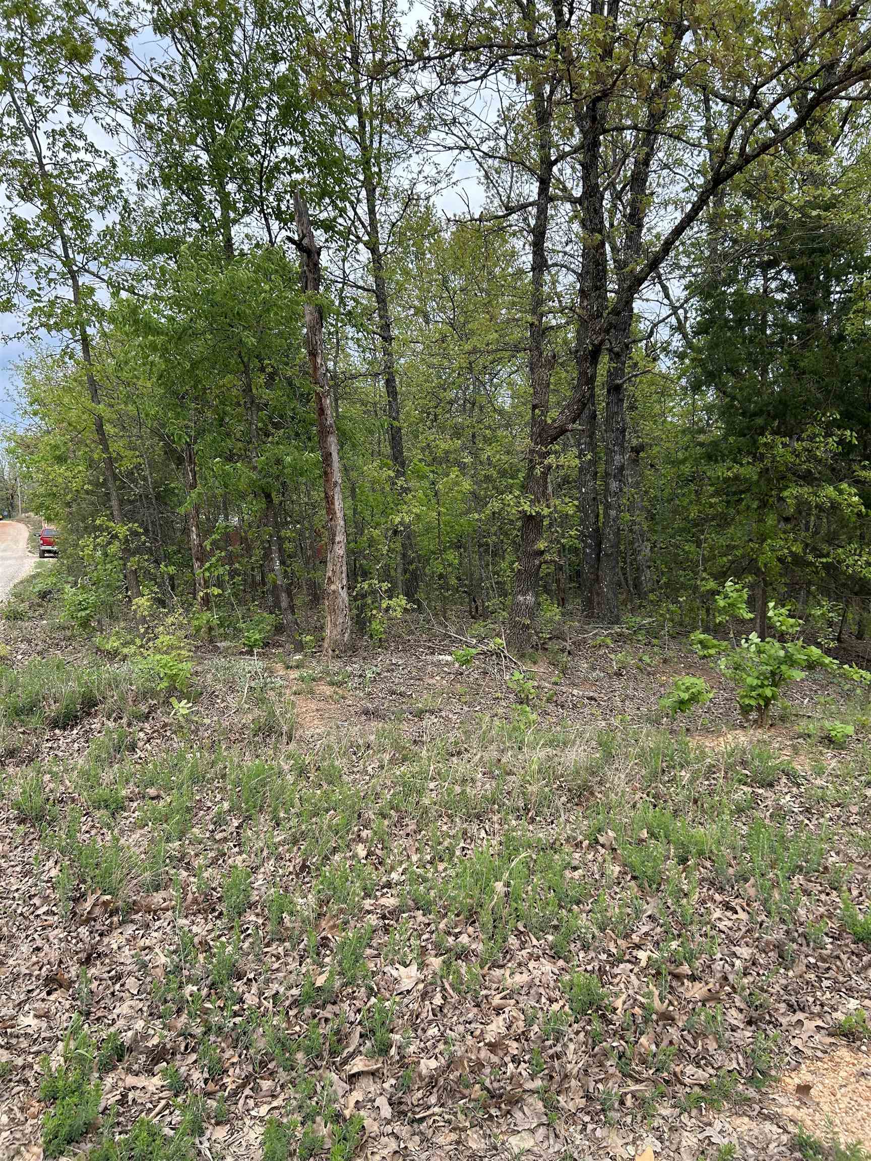 TBD  Slick Rock Rd  Hardy, AR