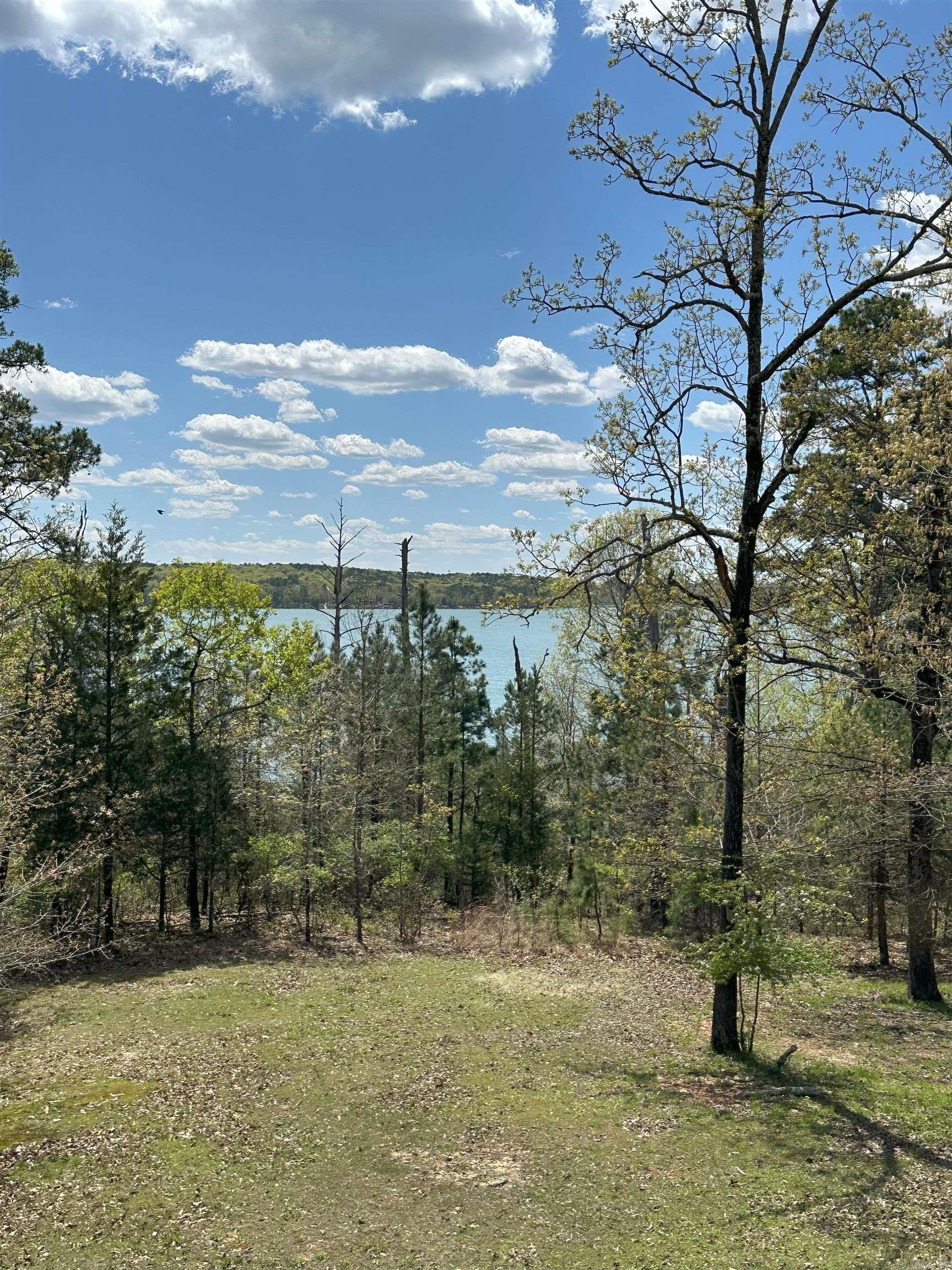 290  Island Shores  Drasco, AR