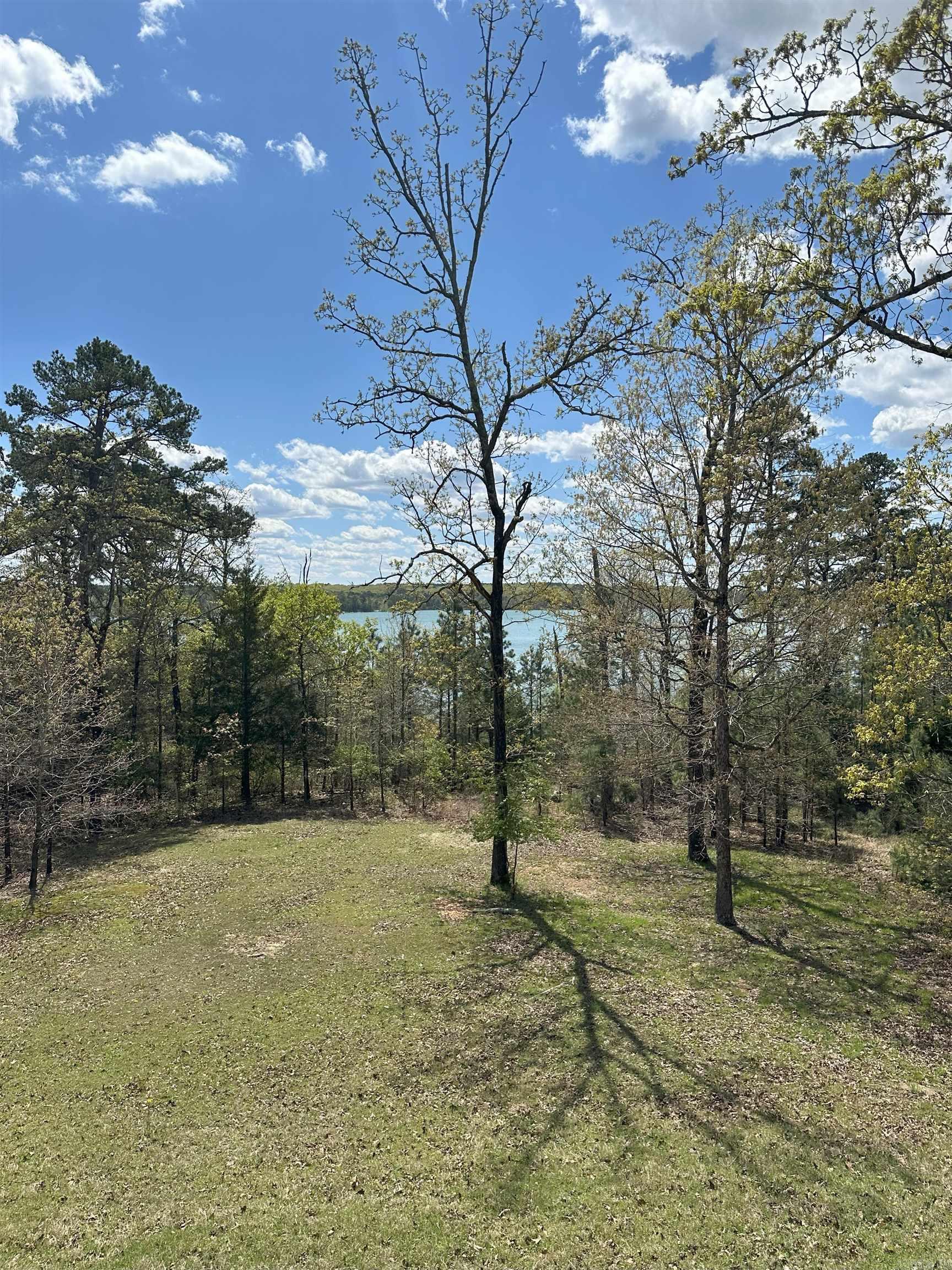 290  Island Shores  Drasco, AR