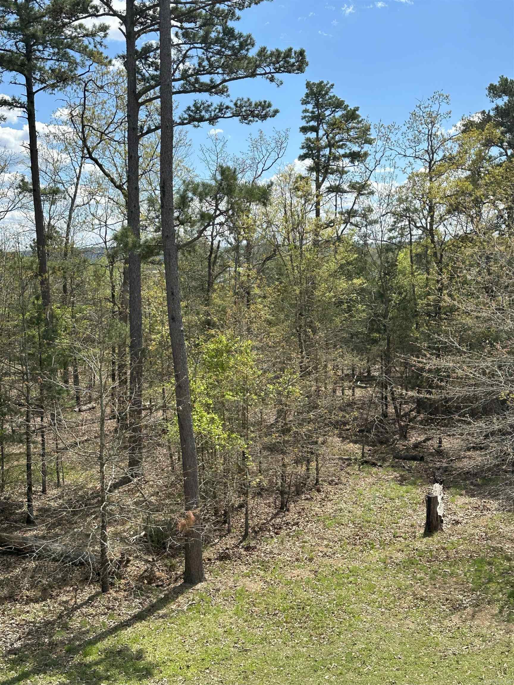 290  Island Shores  Drasco, AR