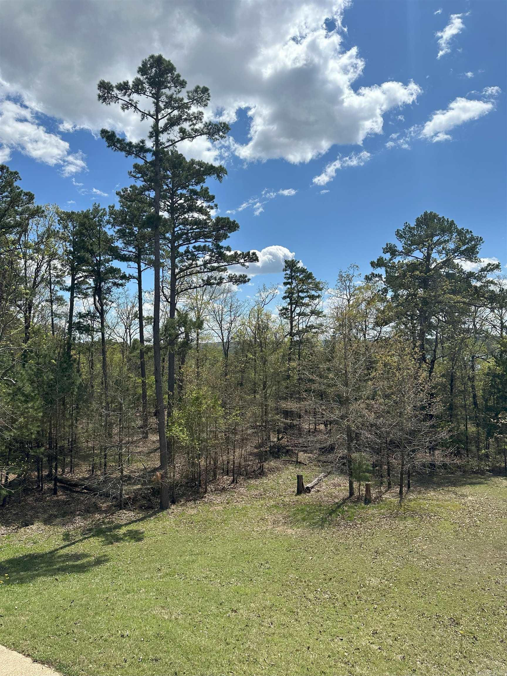 290  Island Shores  Drasco, AR