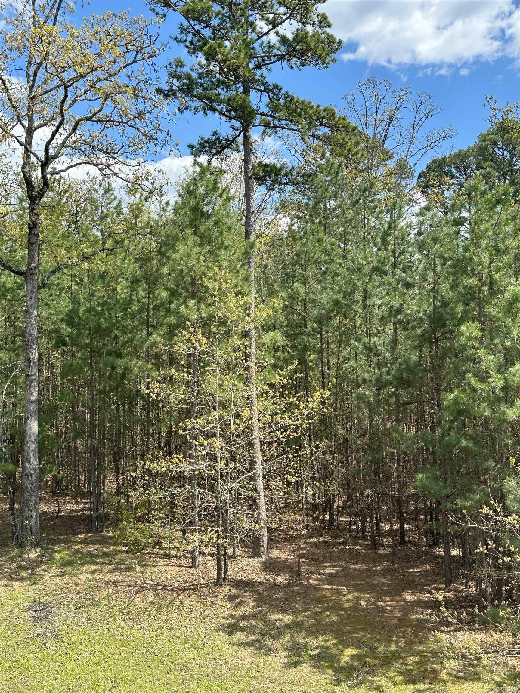 290  Island Shores  Drasco, AR
