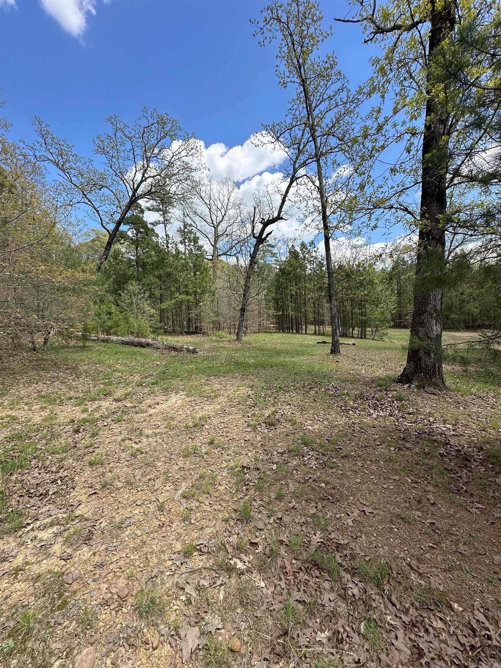 290  Island Shores  Drasco, AR