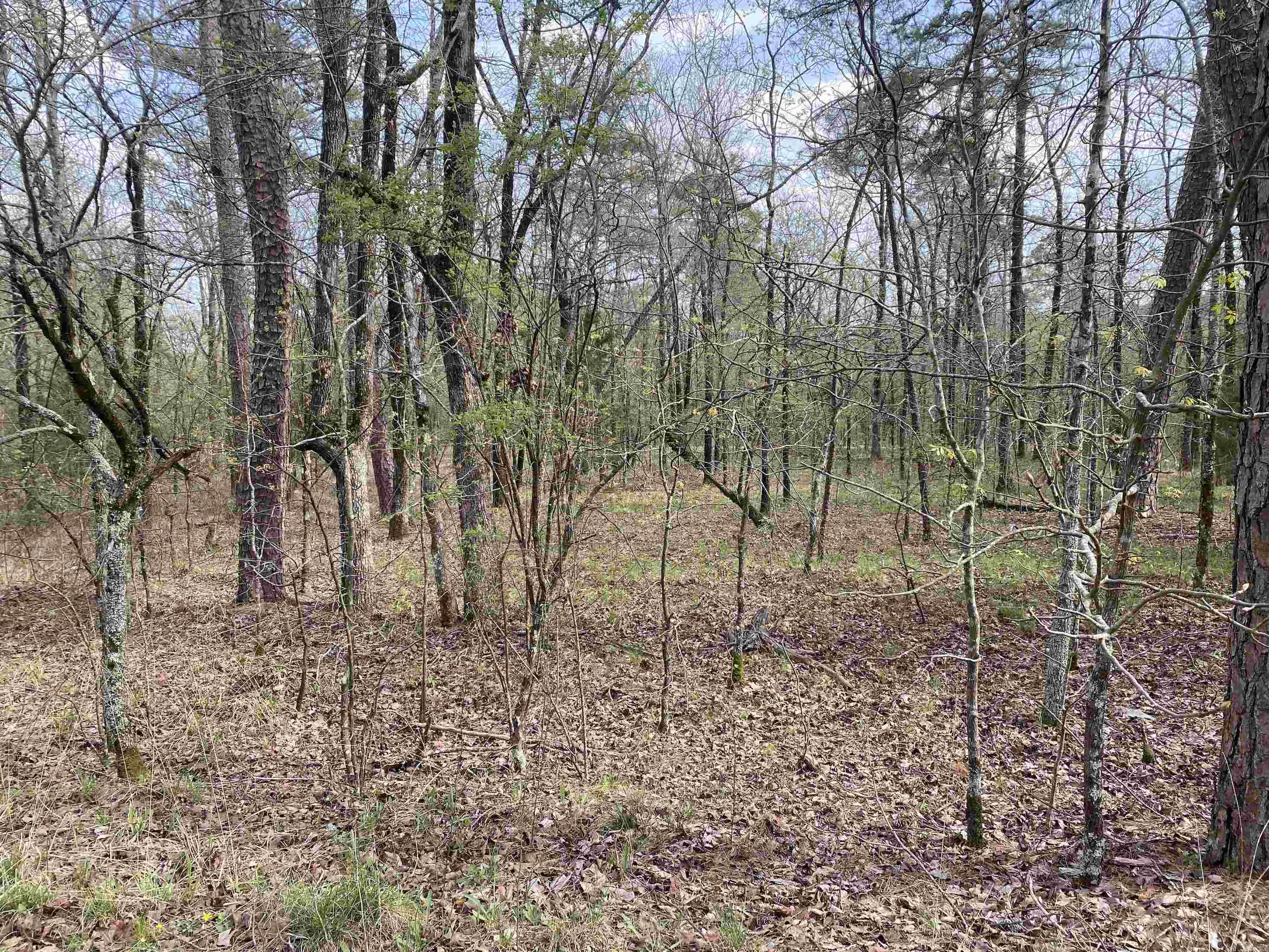 24  San Juan Ln  Hot Springs Village, AR