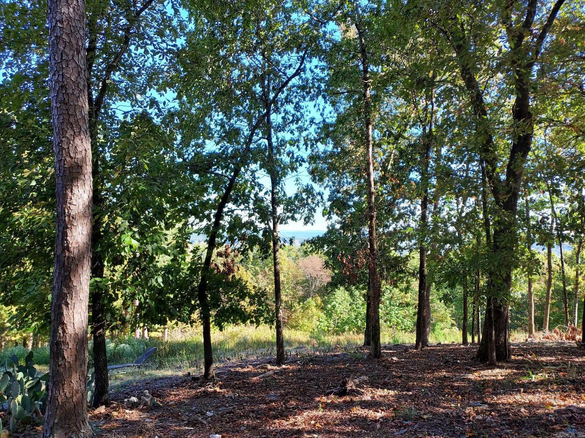 126  Mesero Way  Hot Springs Village, AR
