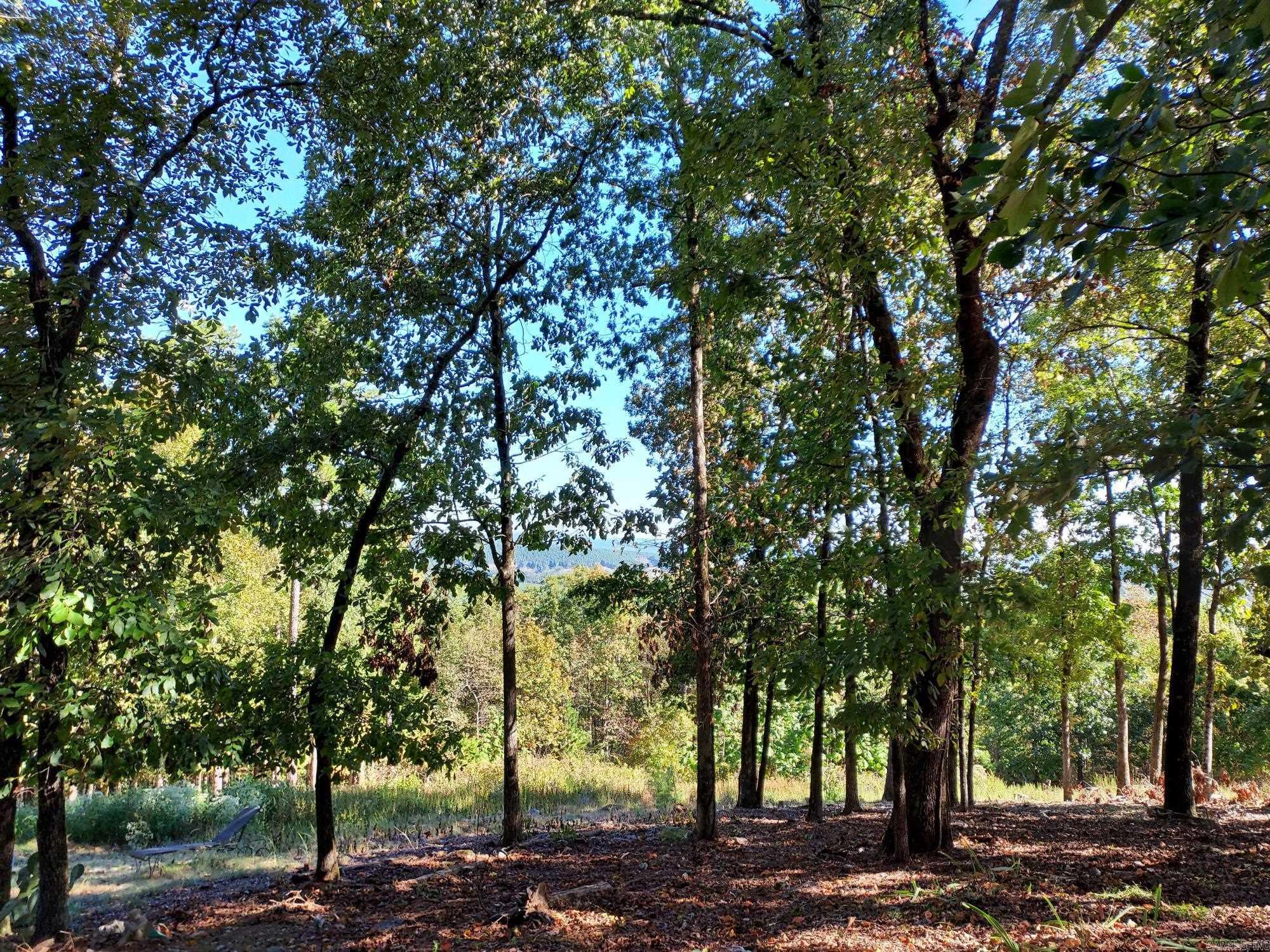 126  Mesero Way  Hot Springs Village, AR
