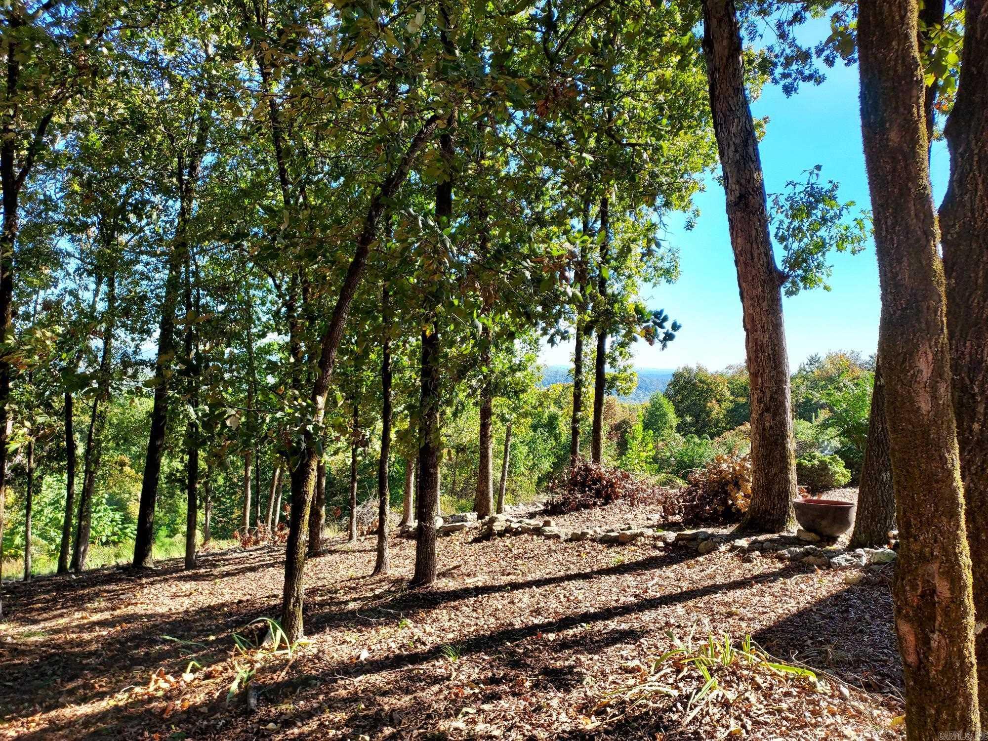 126  Mesero Way  Hot Springs Village, AR