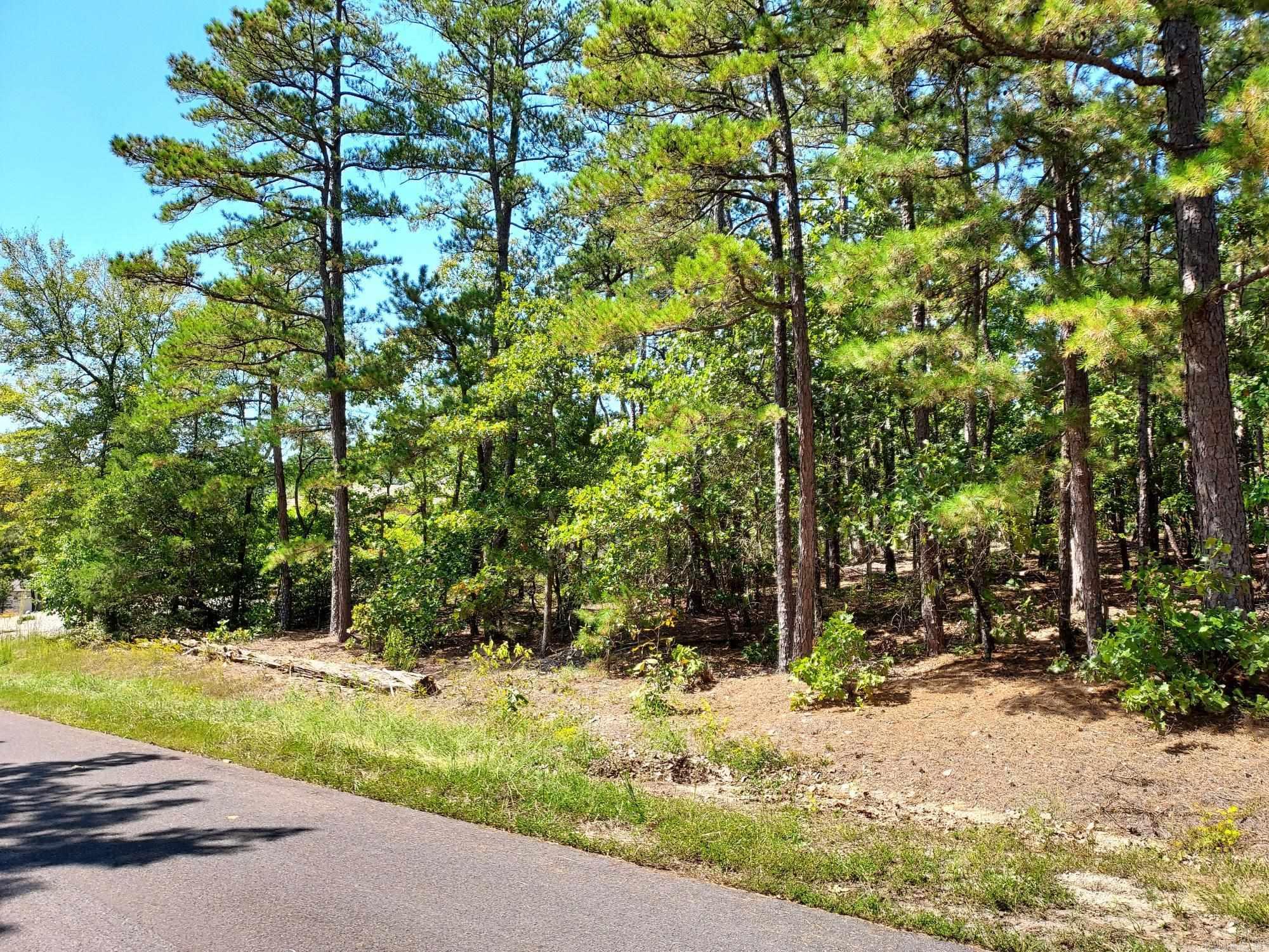 23  Hartura Way  Hot Springs Village, AR