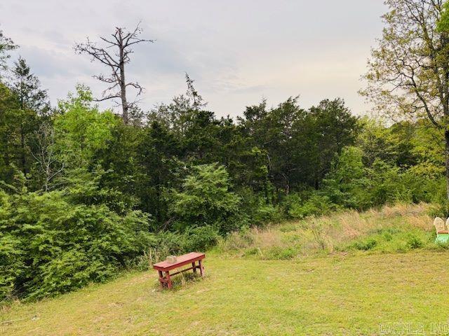 363  NIAGARA  Clinton, AR