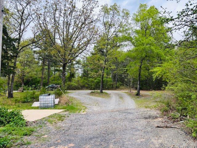 363  NIAGARA  Clinton, AR