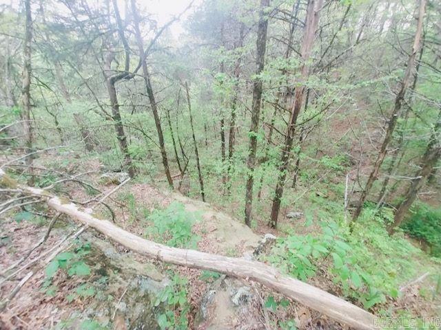 363  NIAGARA  Clinton, AR