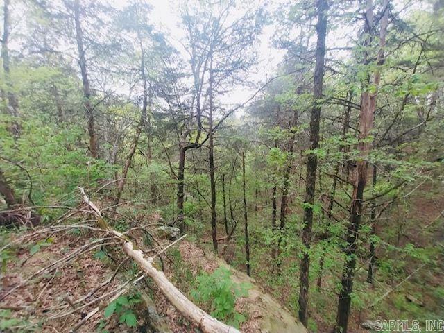 363  NIAGARA  Clinton, AR