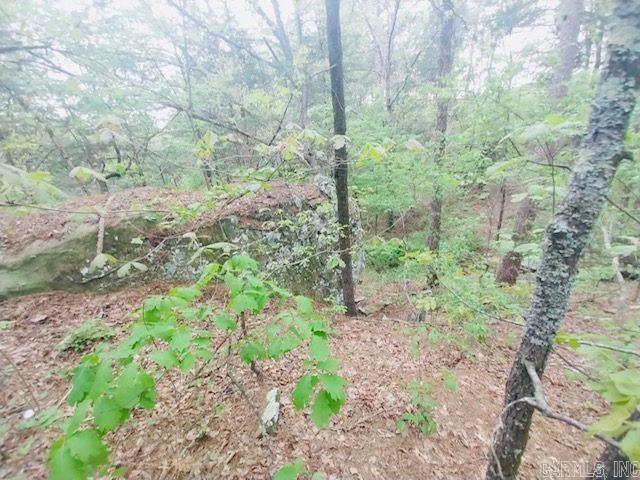 363  NIAGARA  Clinton, AR