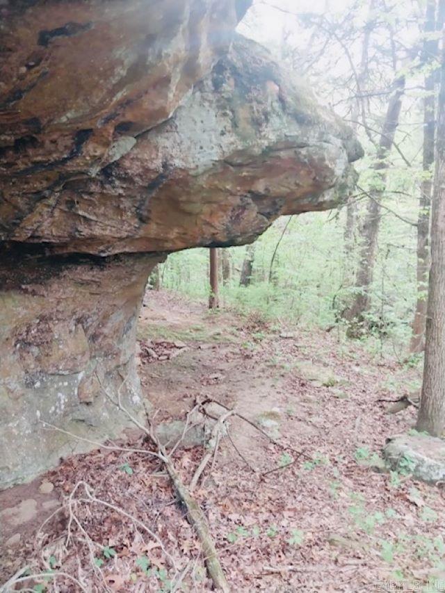 363  NIAGARA  Clinton, AR