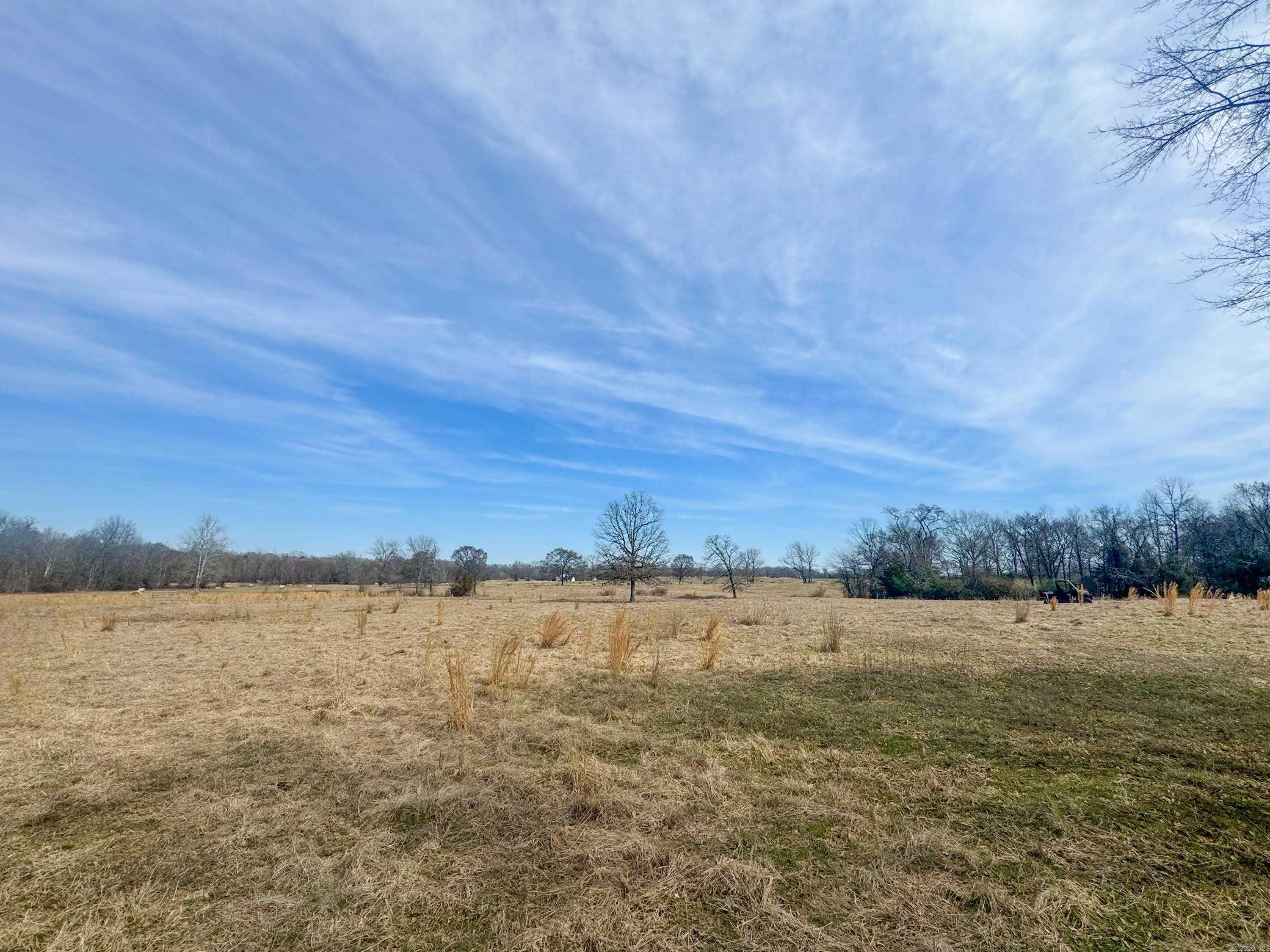 120  Pilgrim Rest  Greenbrier, AR