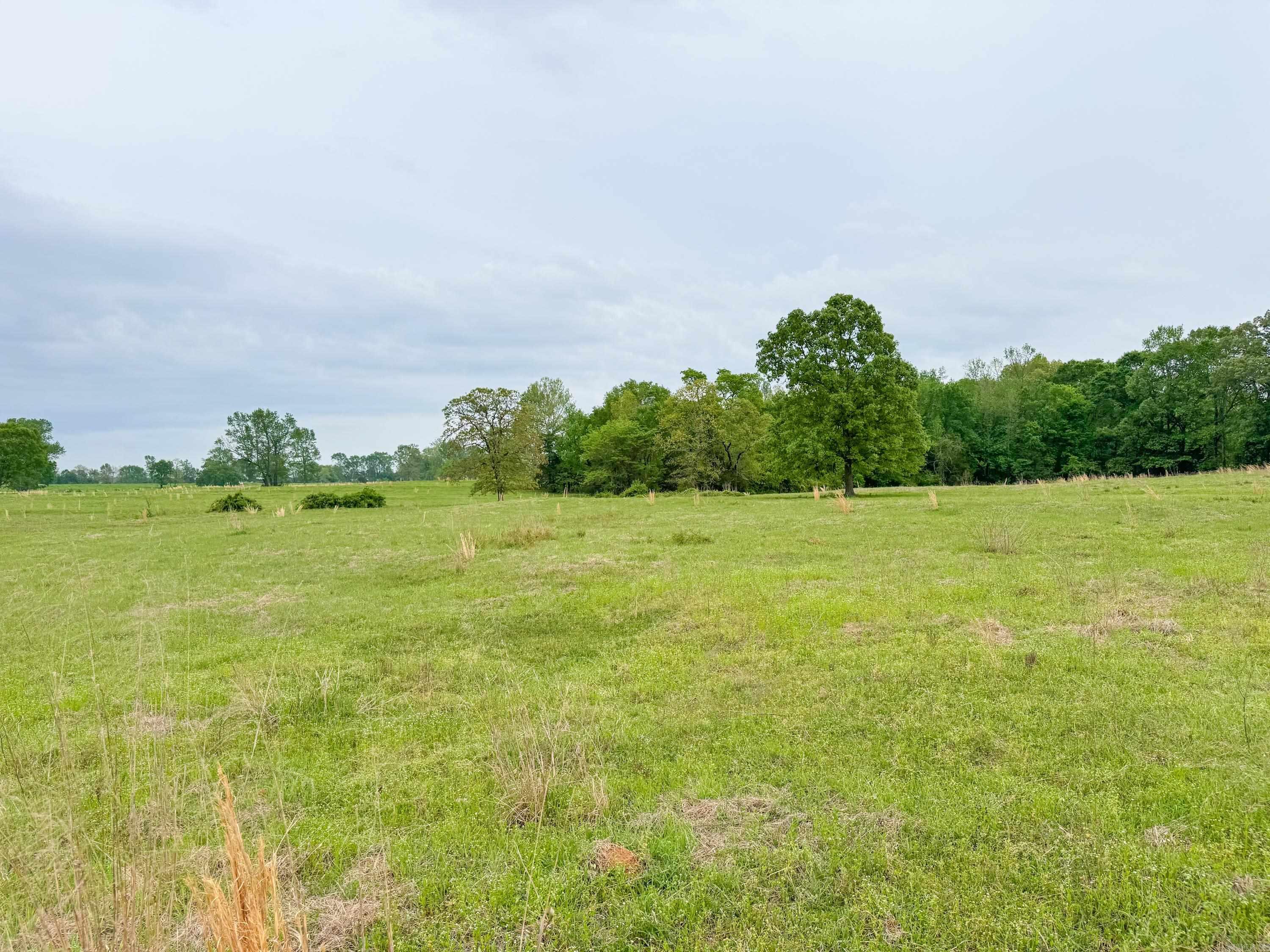 120  Pilgrim Rest  Greenbrier, AR