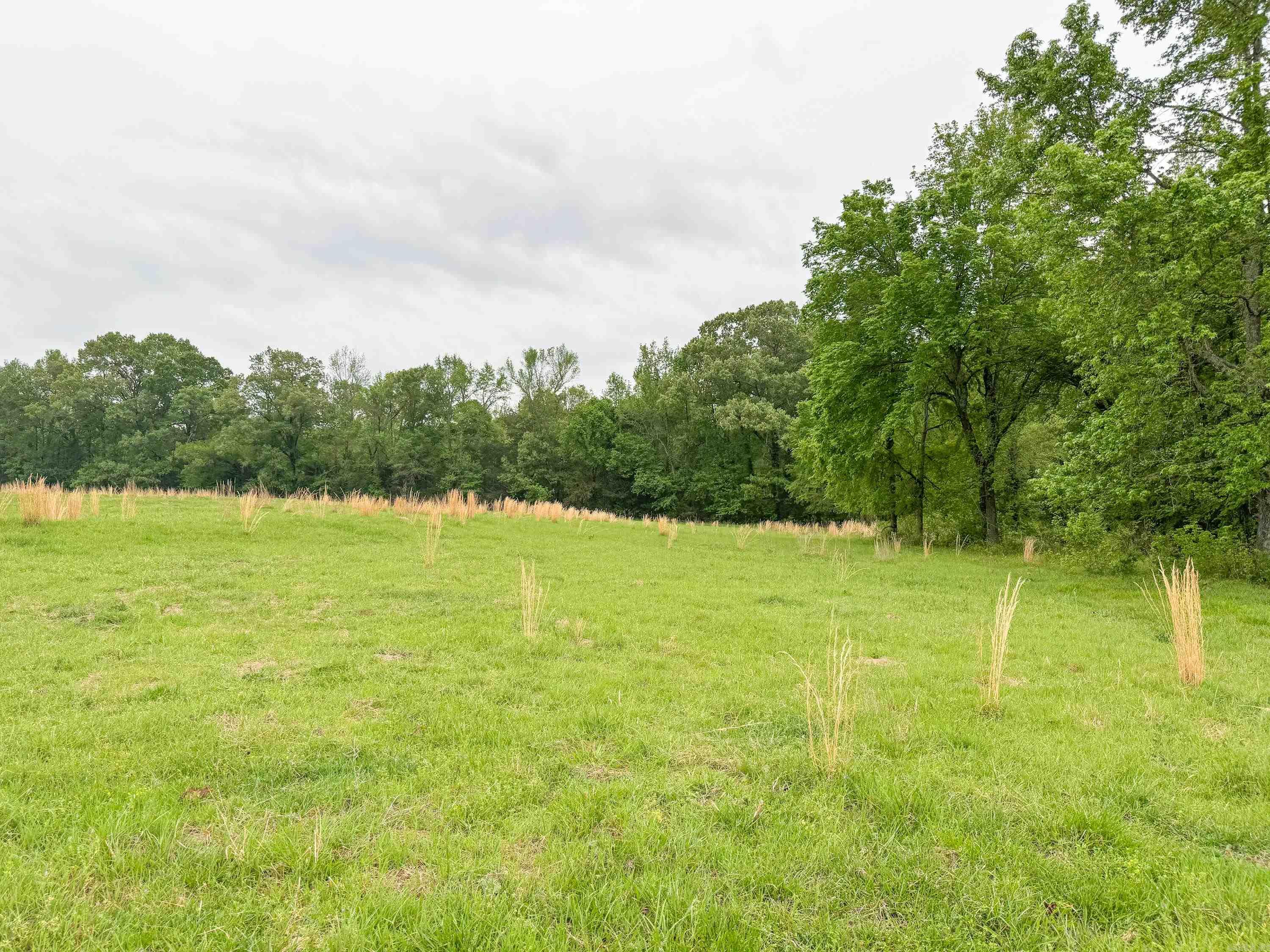 120  Pilgrim Rest  Greenbrier, AR