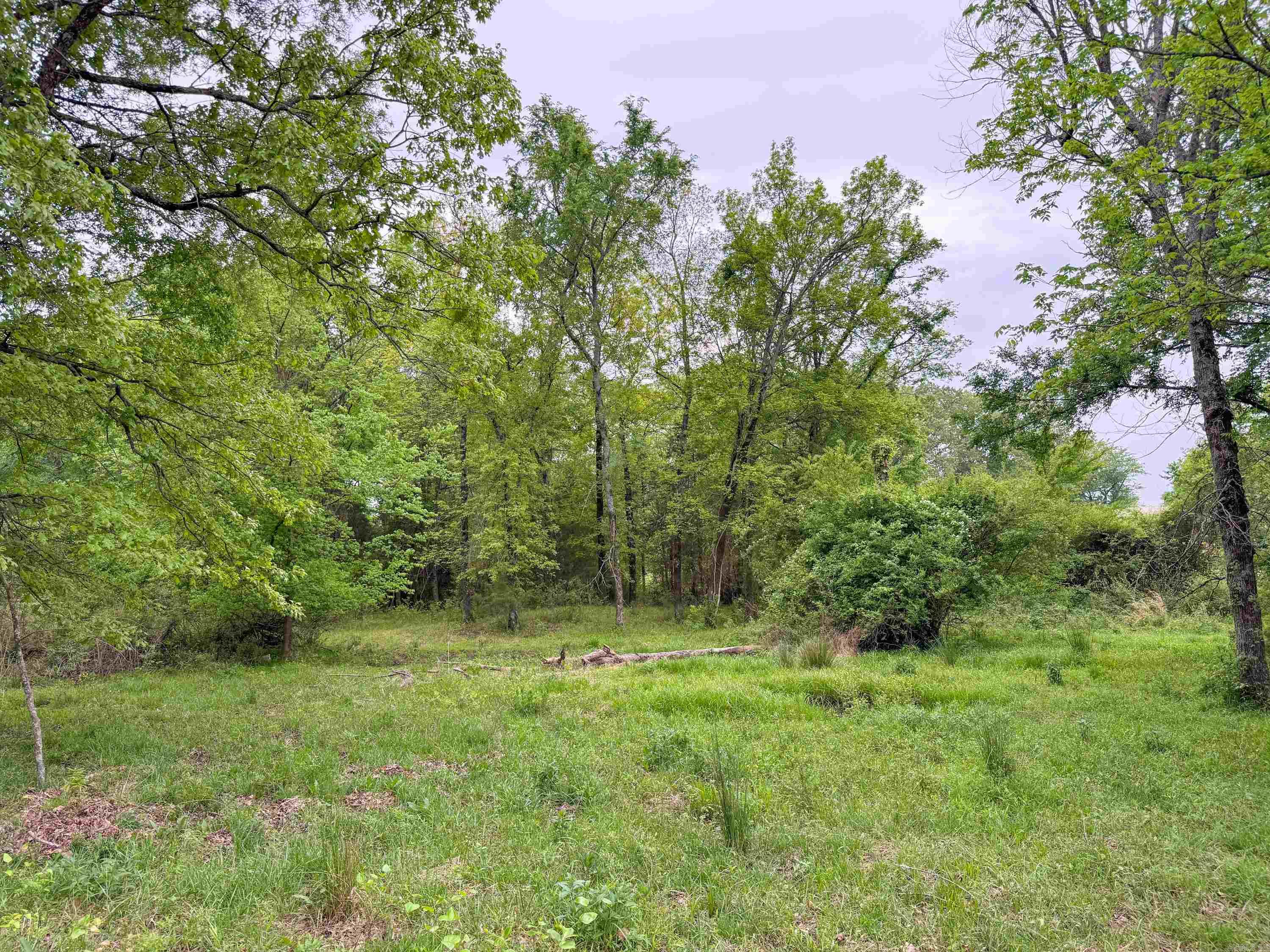 120  Pilgrim Rest  Greenbrier, AR