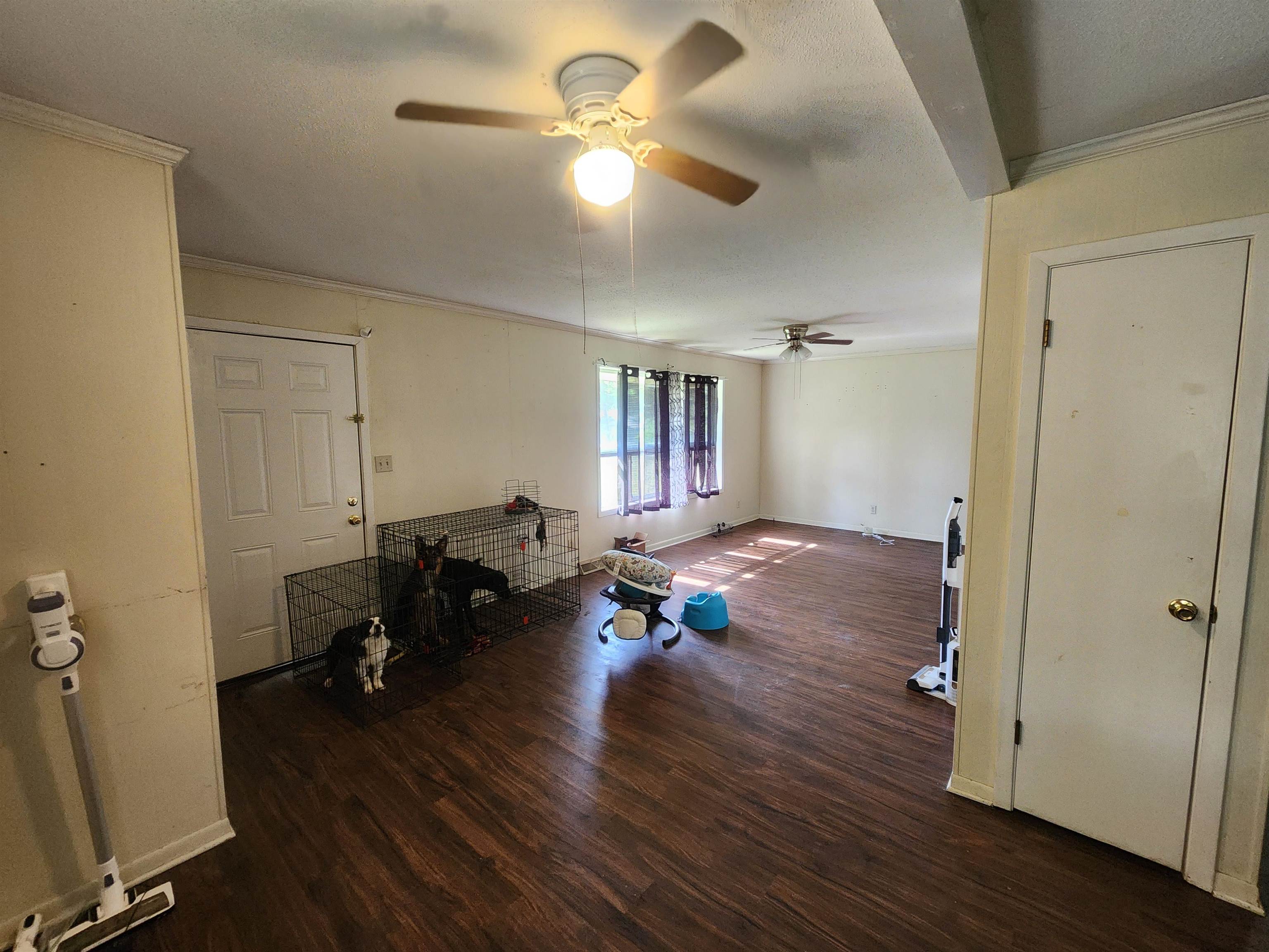6  Mishemokwa  Cherokee Village, AR