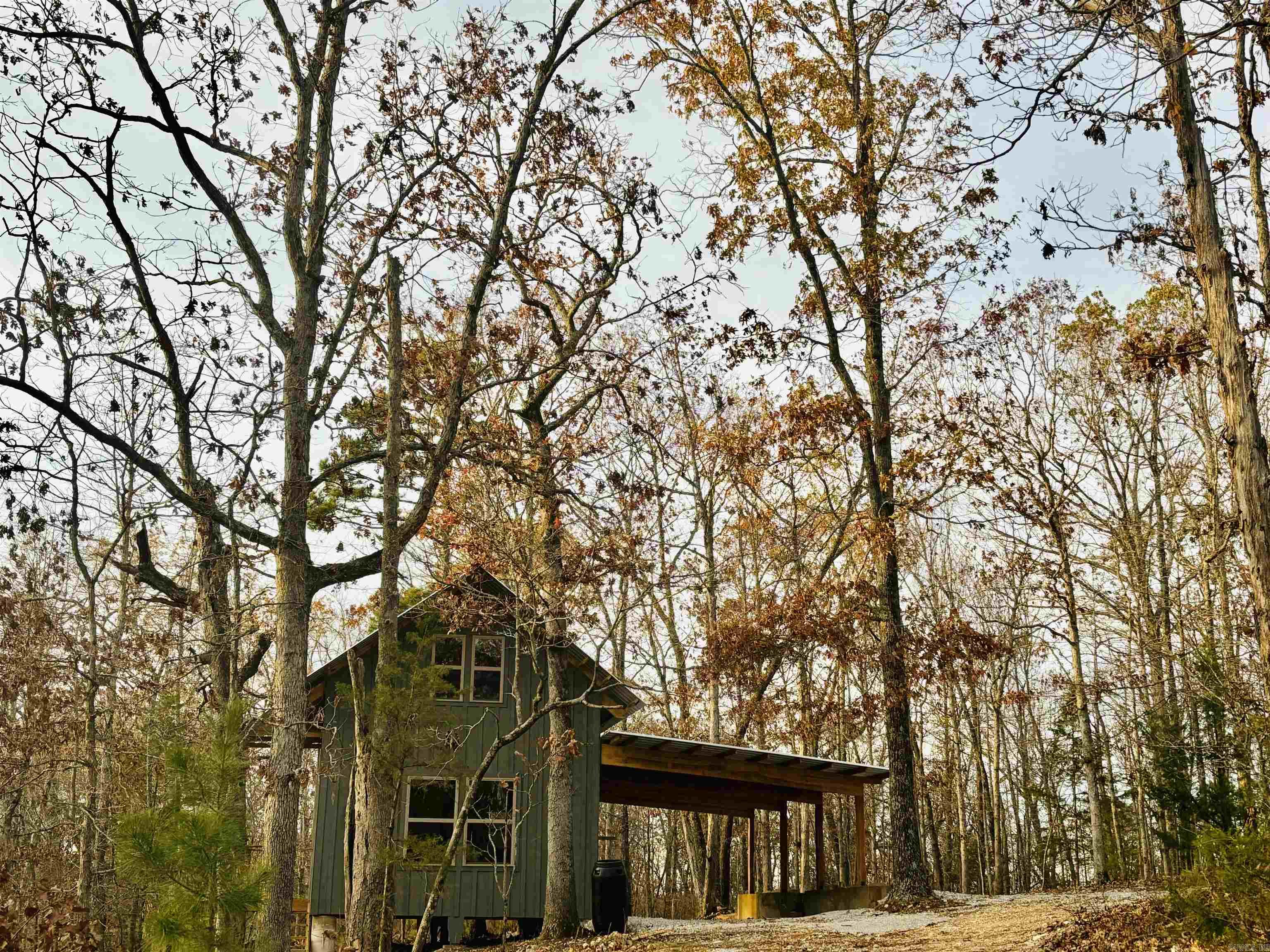 261  Mitchell  Mountain View, AR
