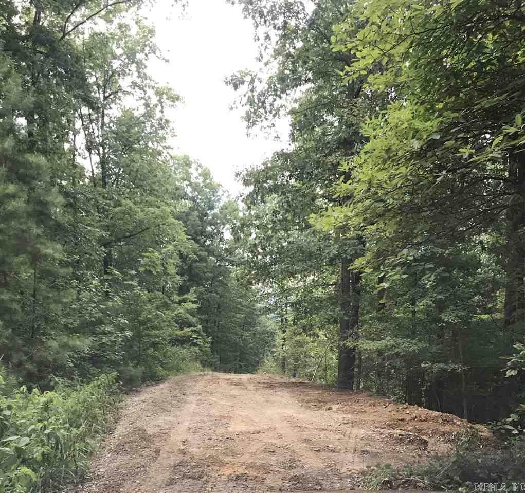 111  Kospelich  Jessieville, AR