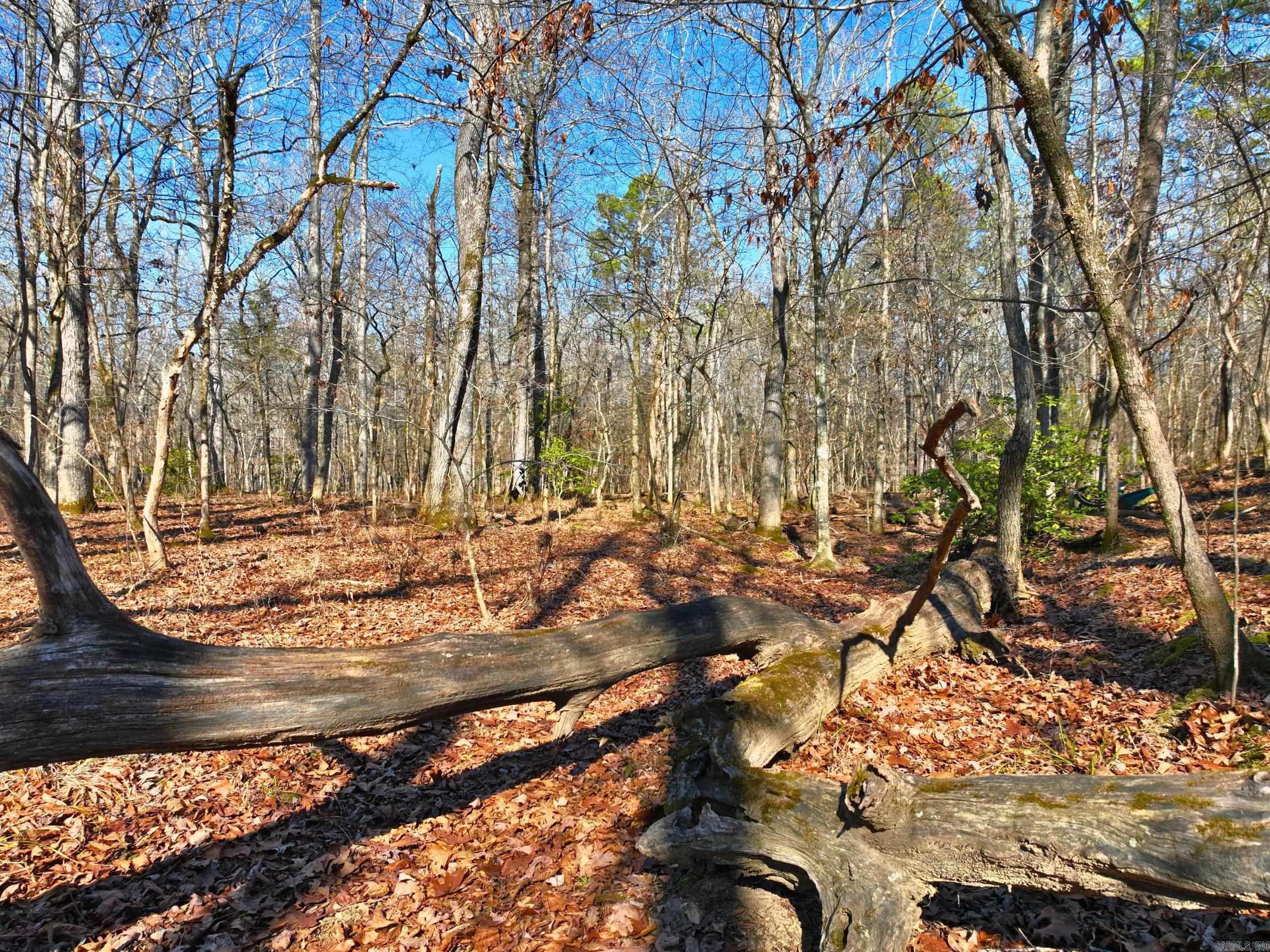 270  Clubhill  Jessieville, AR