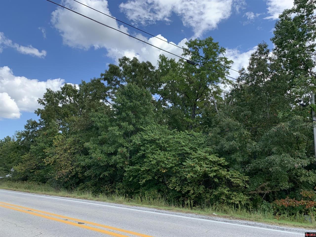 00  Sycamore Tree Lane  Lakeview, AR