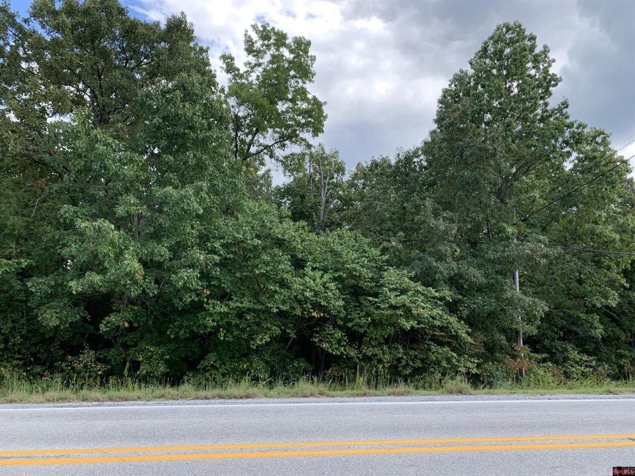00  Sycamore Tree Lane  Lakeview, AR