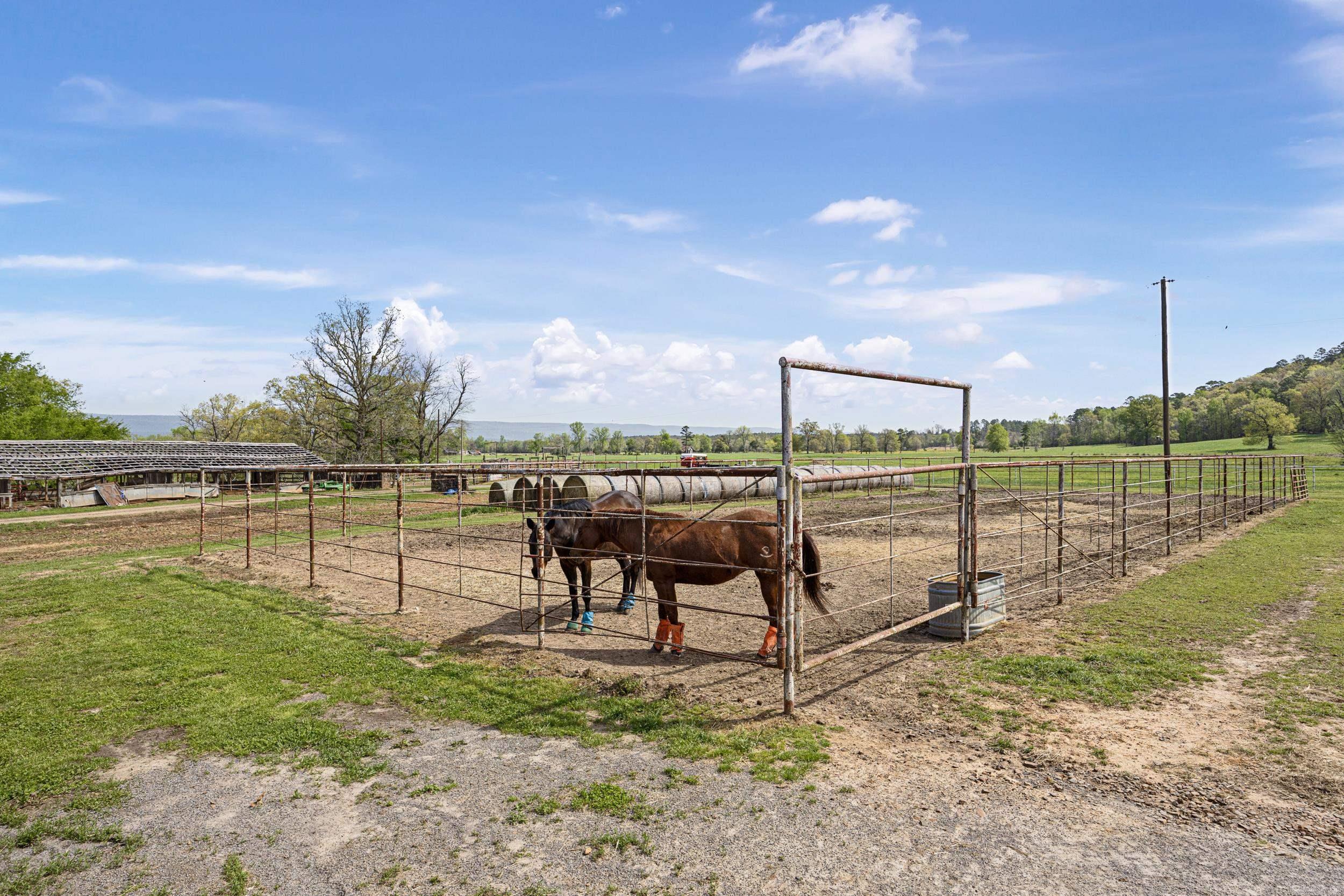 12250  Bluff  Bluffton, AR