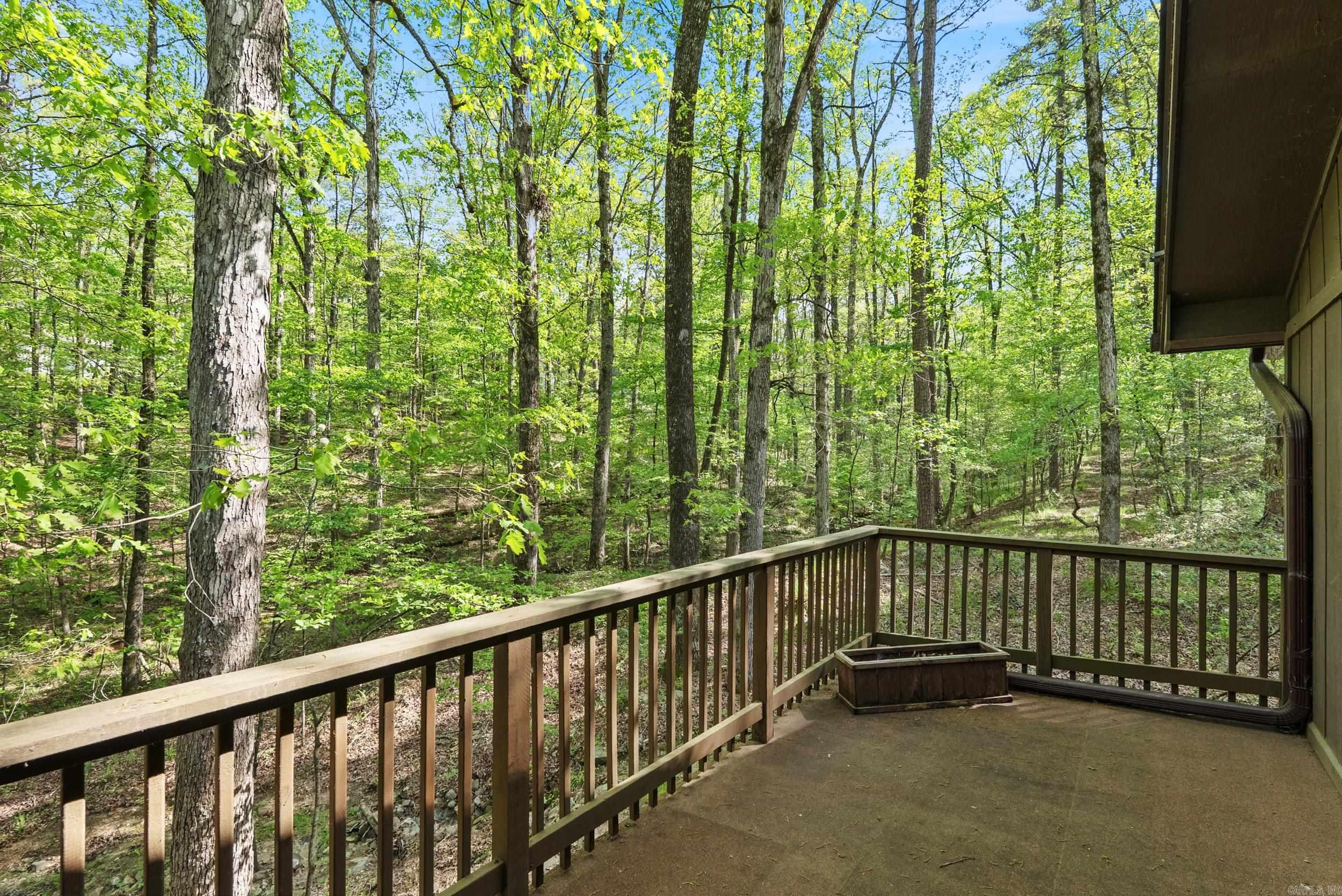 65  Segovia Drive  Hot Springs Village, AR