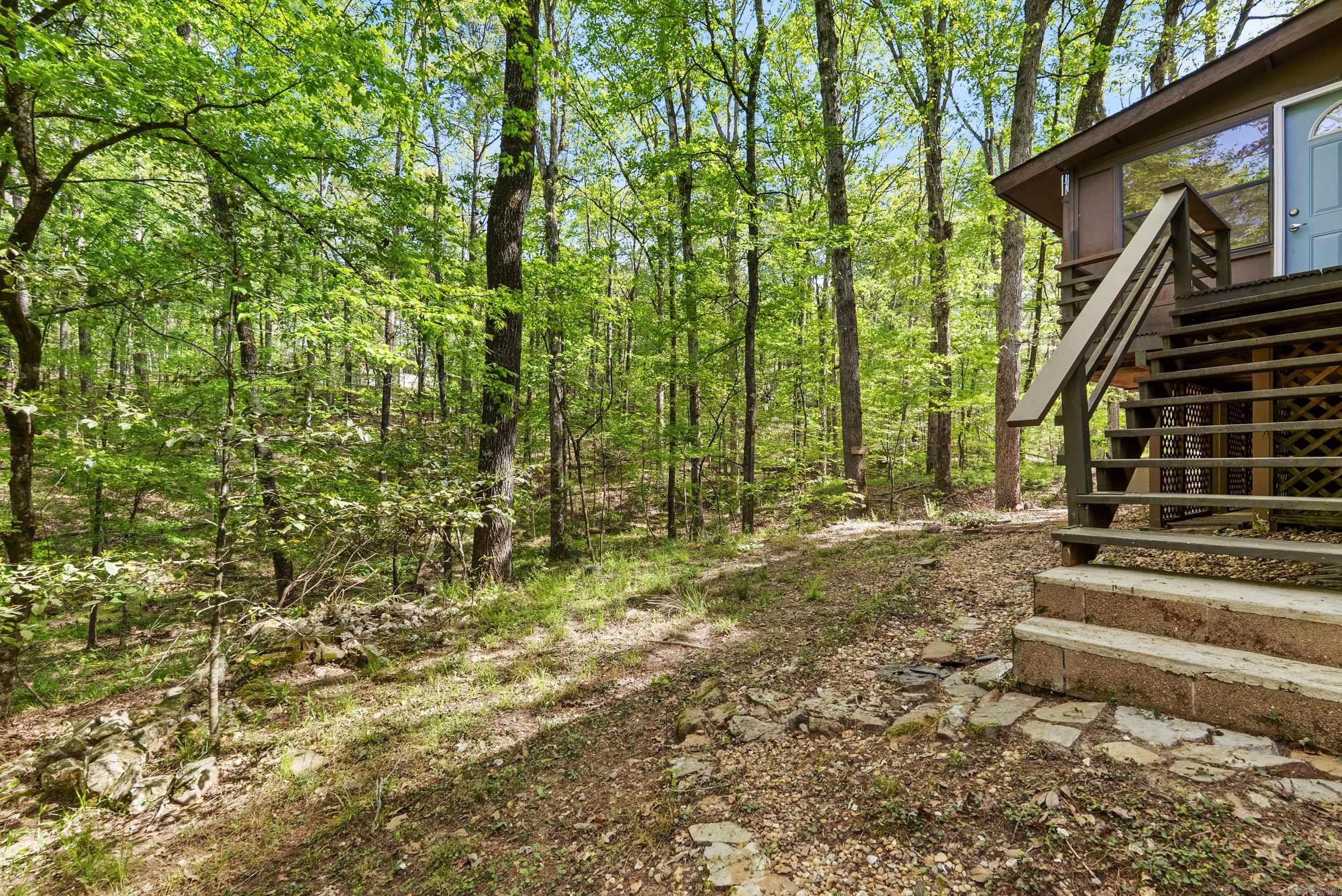 65  Segovia Drive  Hot Springs Village, AR
