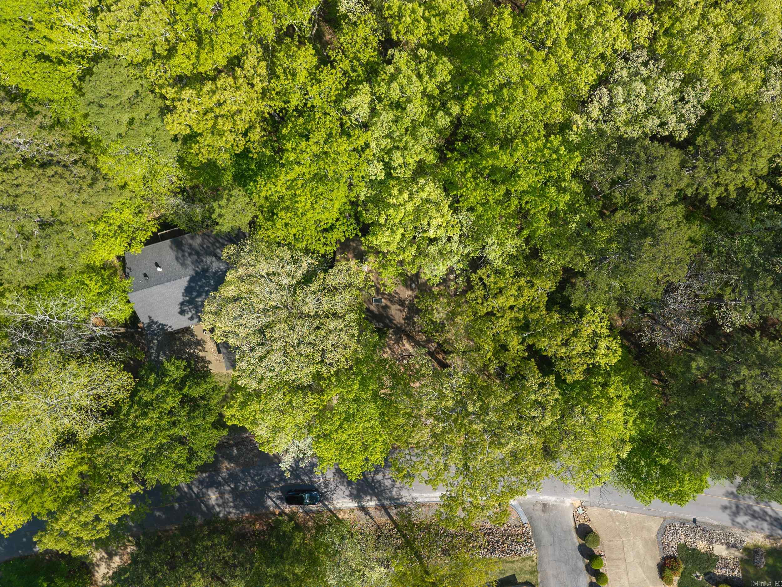 65  Segovia Drive  Hot Springs Village, AR