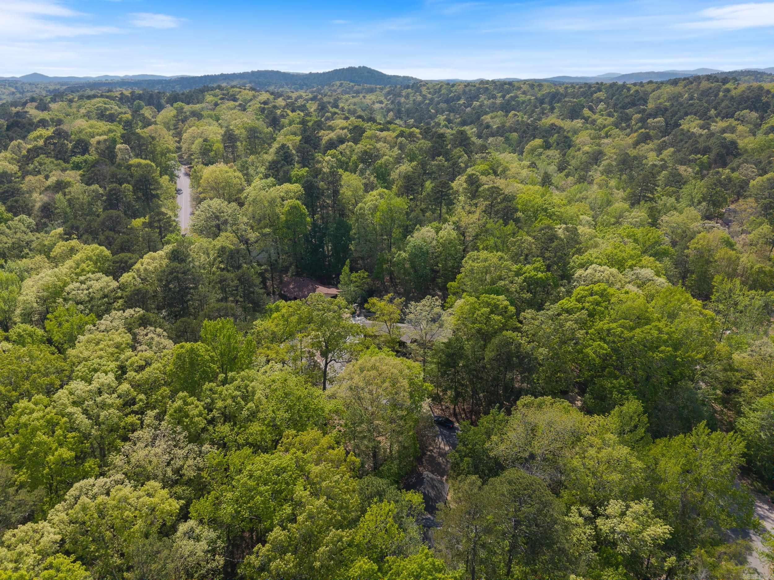 65  Segovia Drive  Hot Springs Village, AR