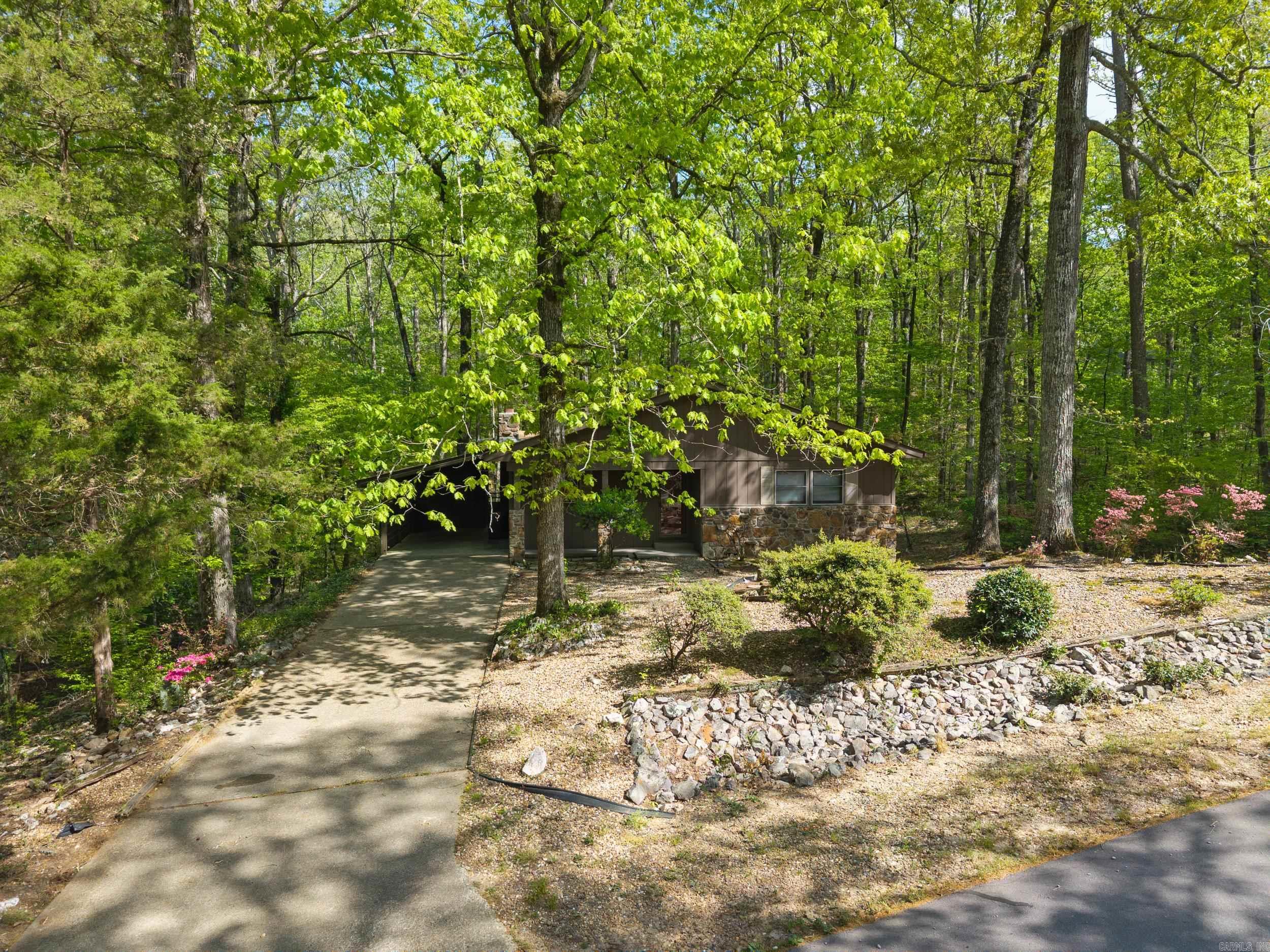 65  Segovia Drive  Hot Springs Village, AR