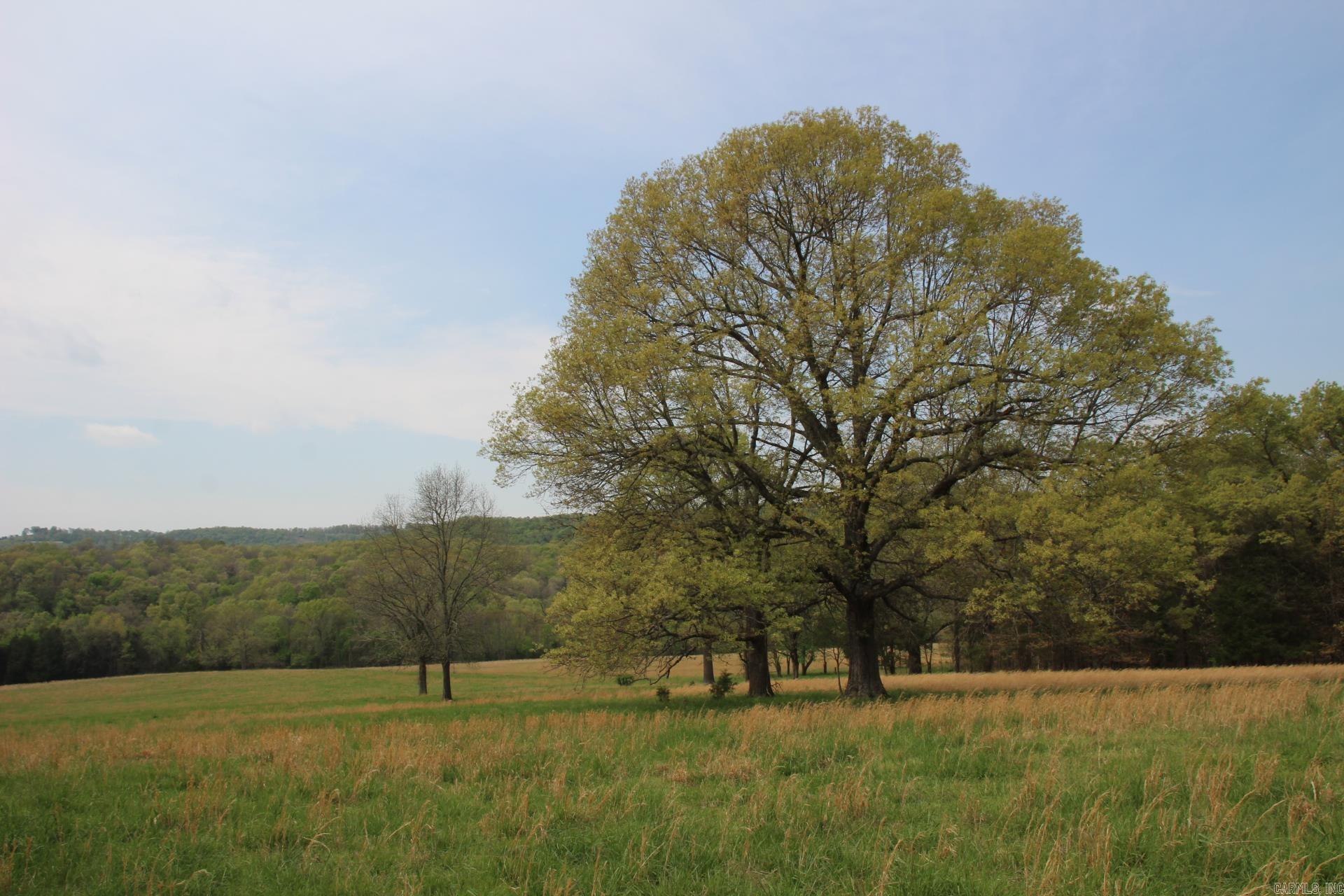 TBD  MC 4002  Yellville, AR