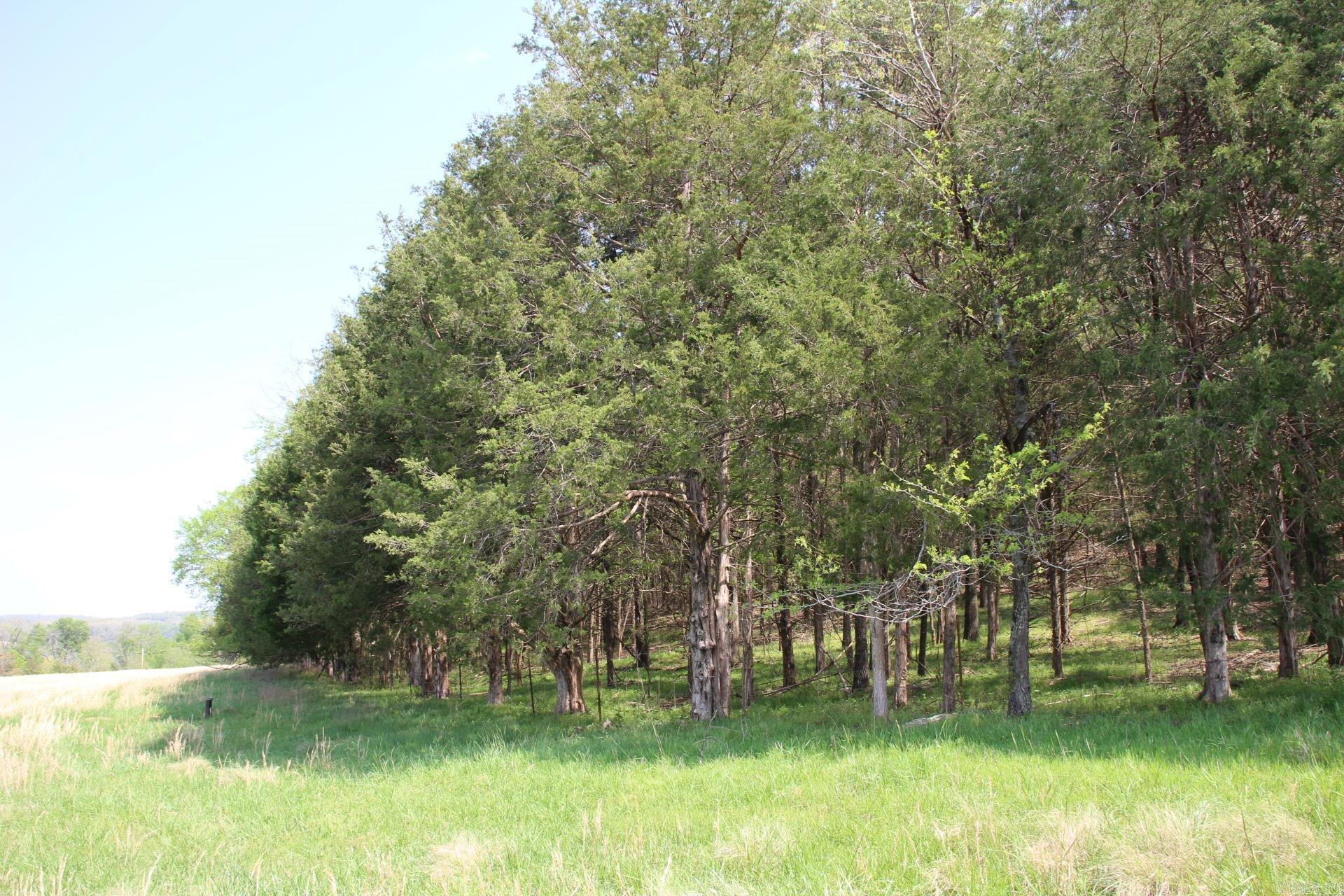 TBD  MC 4002  Yellville, AR