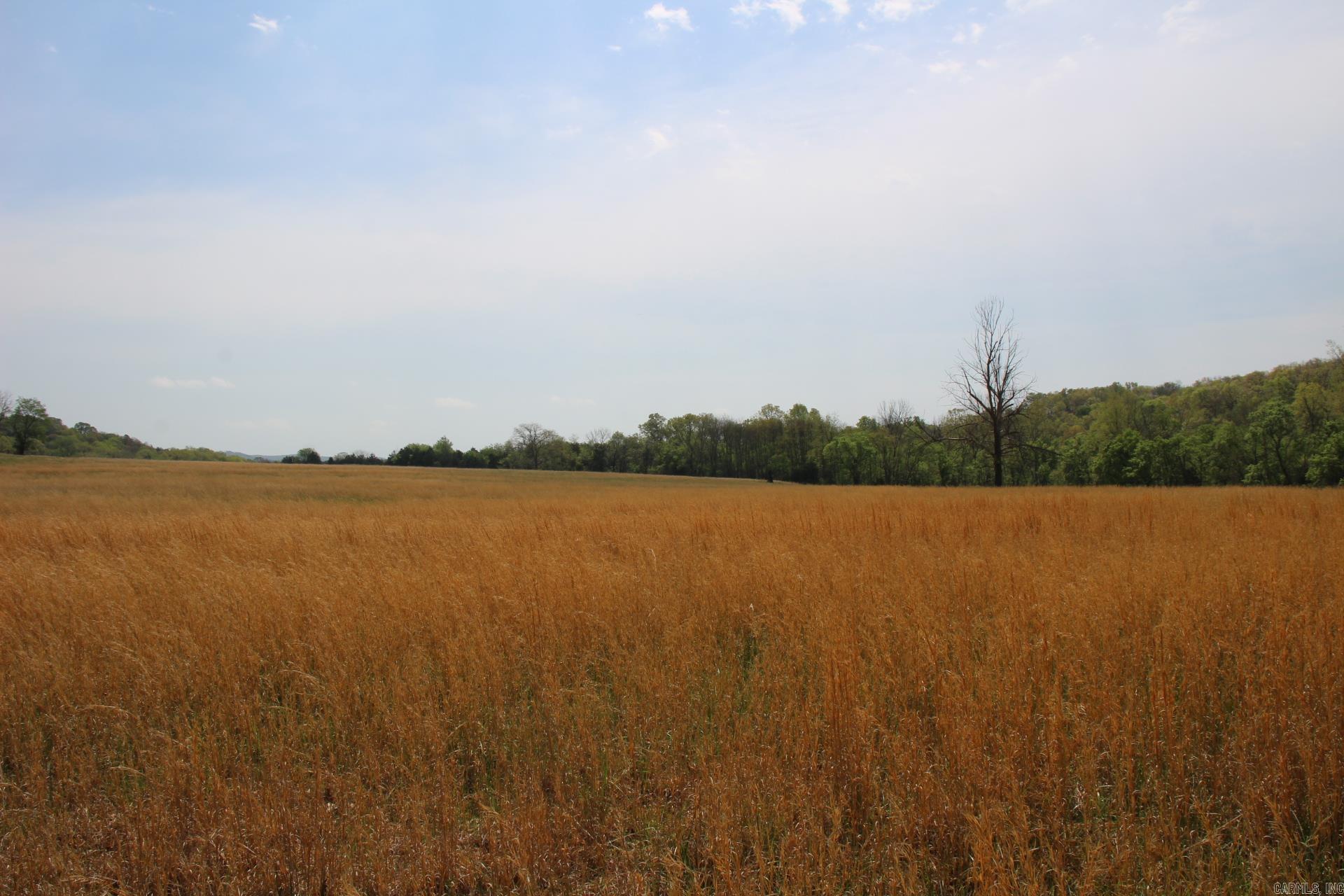 TBD  MC 4002  Yellville, AR