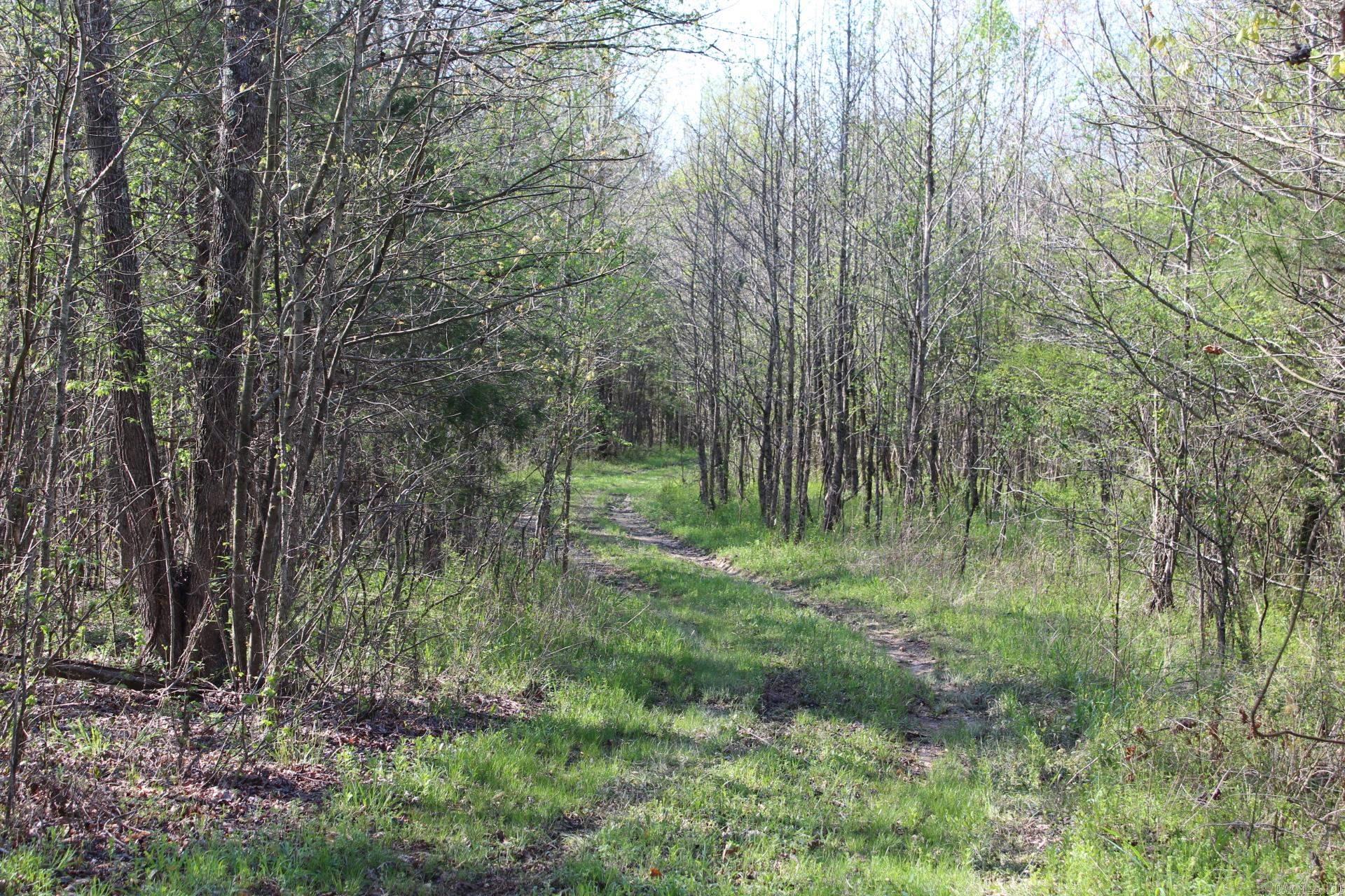   Albert Pike Road  Royal, AR