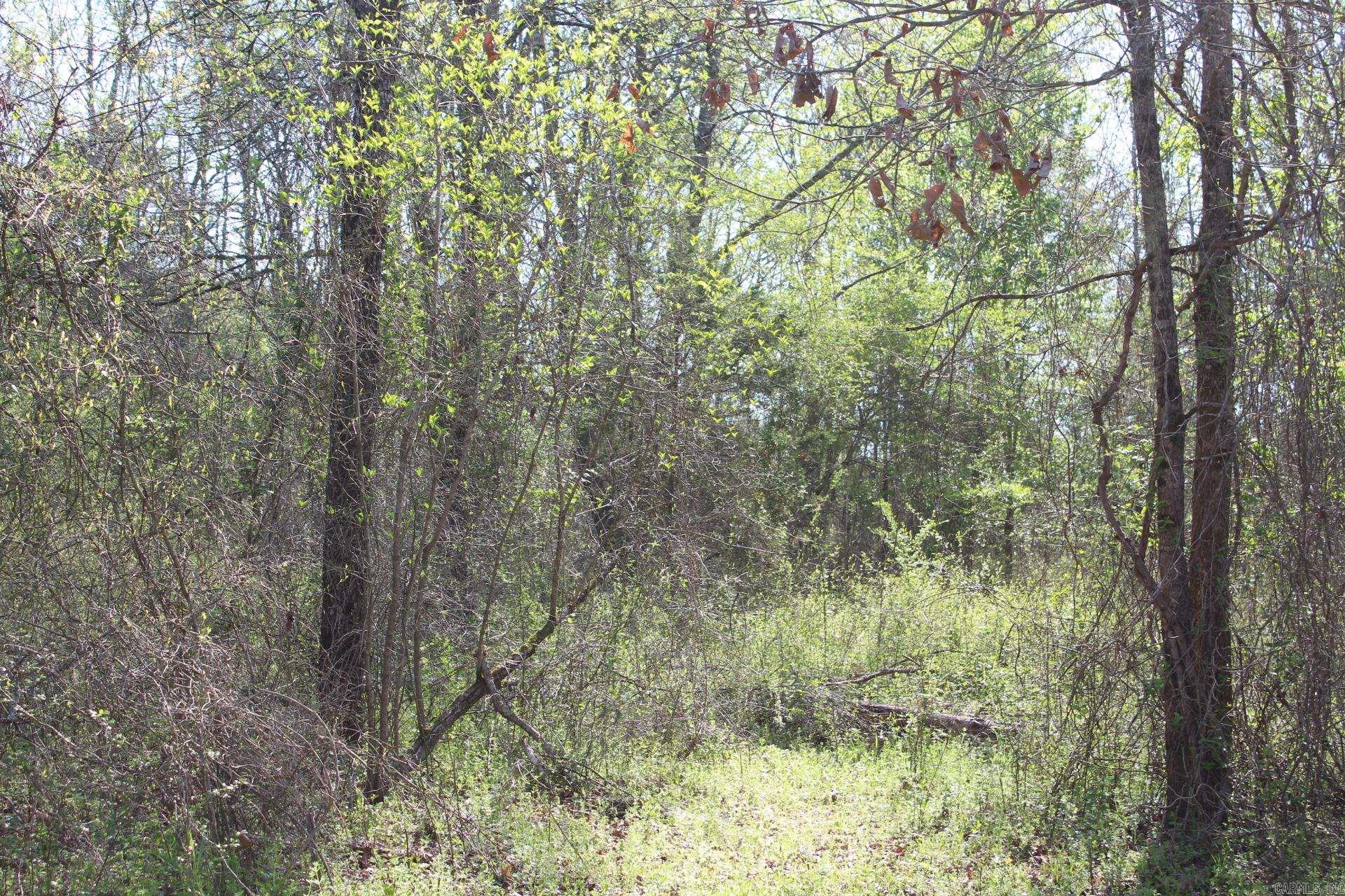   Albert Pike Road  Royal, AR