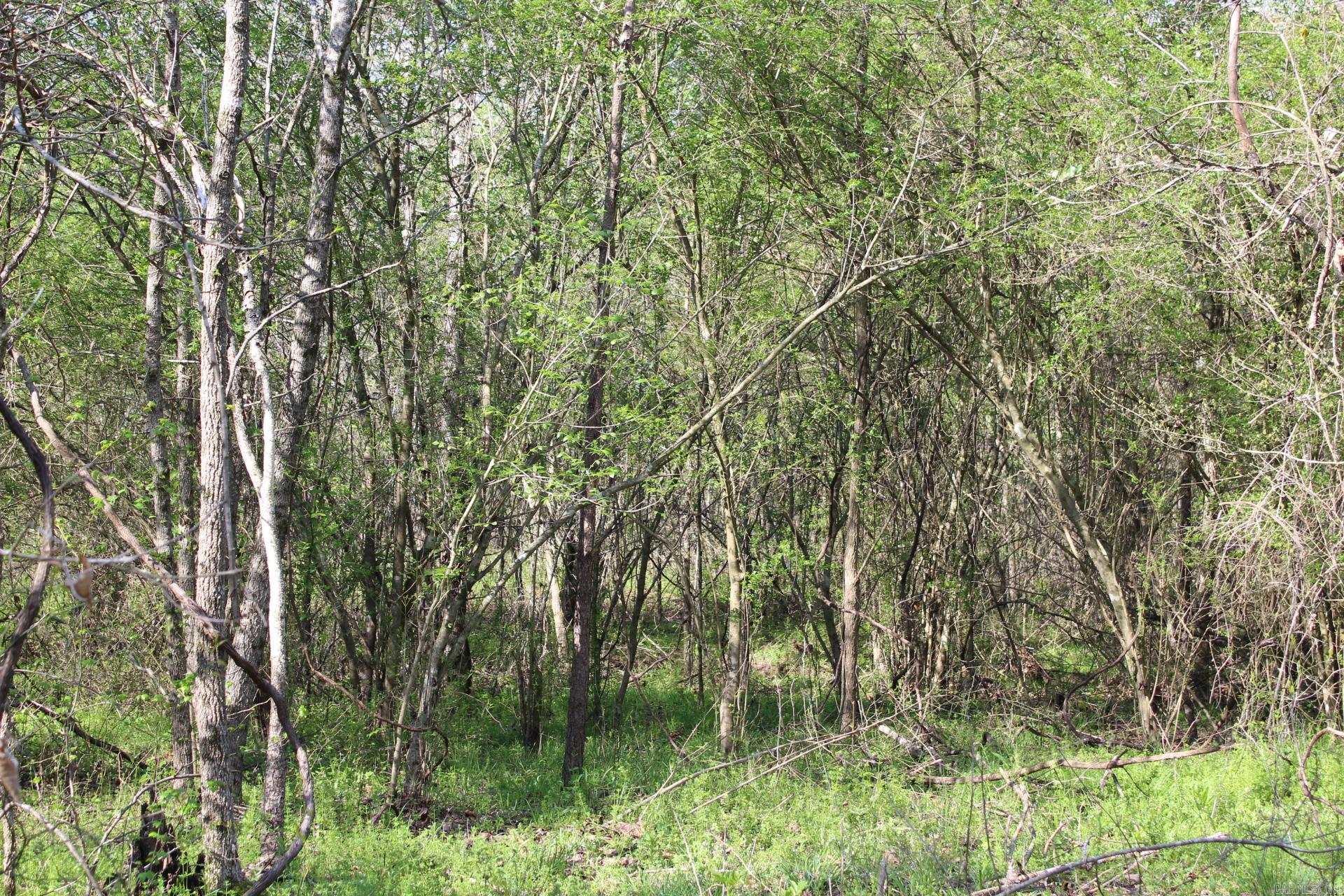   Albert Pike Road  Royal, AR