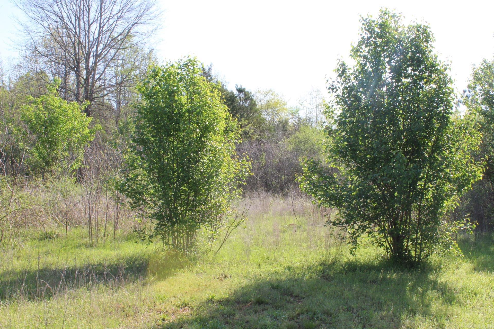   Albert Pike Road  Royal, AR