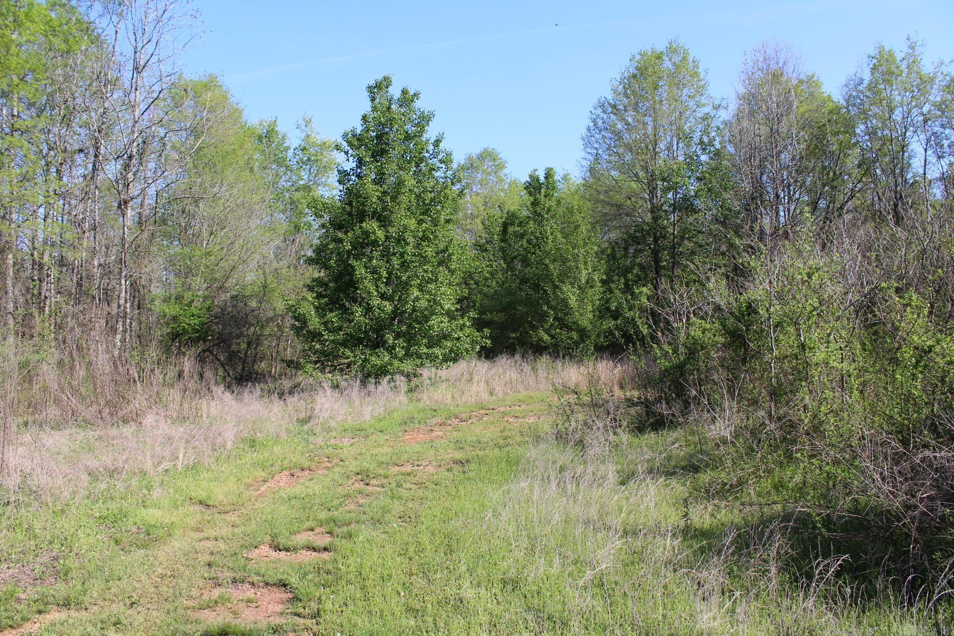   Albert Pike Road  Royal, AR