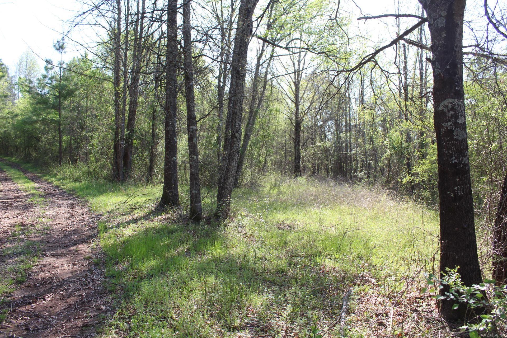   Albert Pike Road  Royal, AR