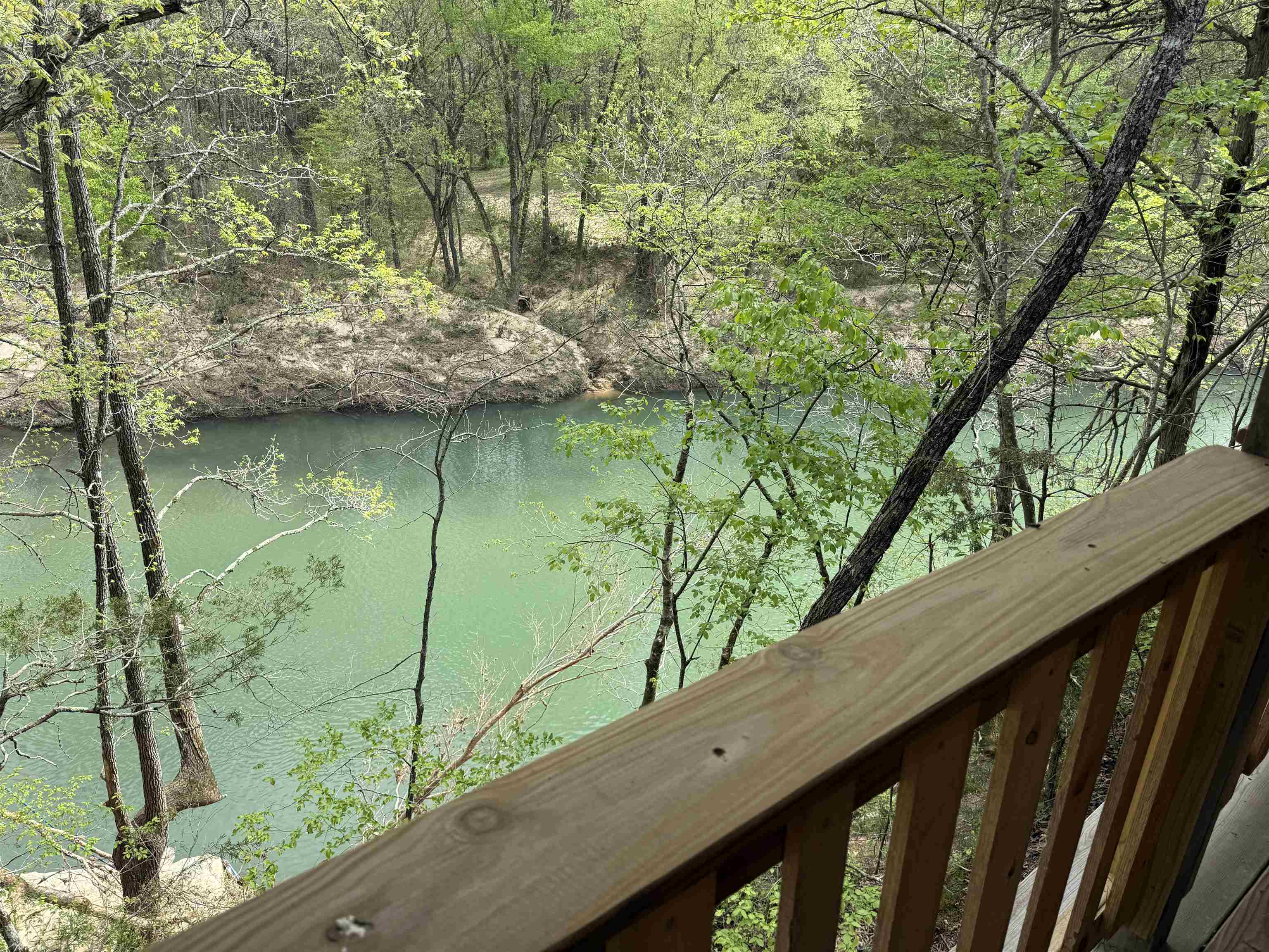 1343  Reb Lane  Calico Rock, AR