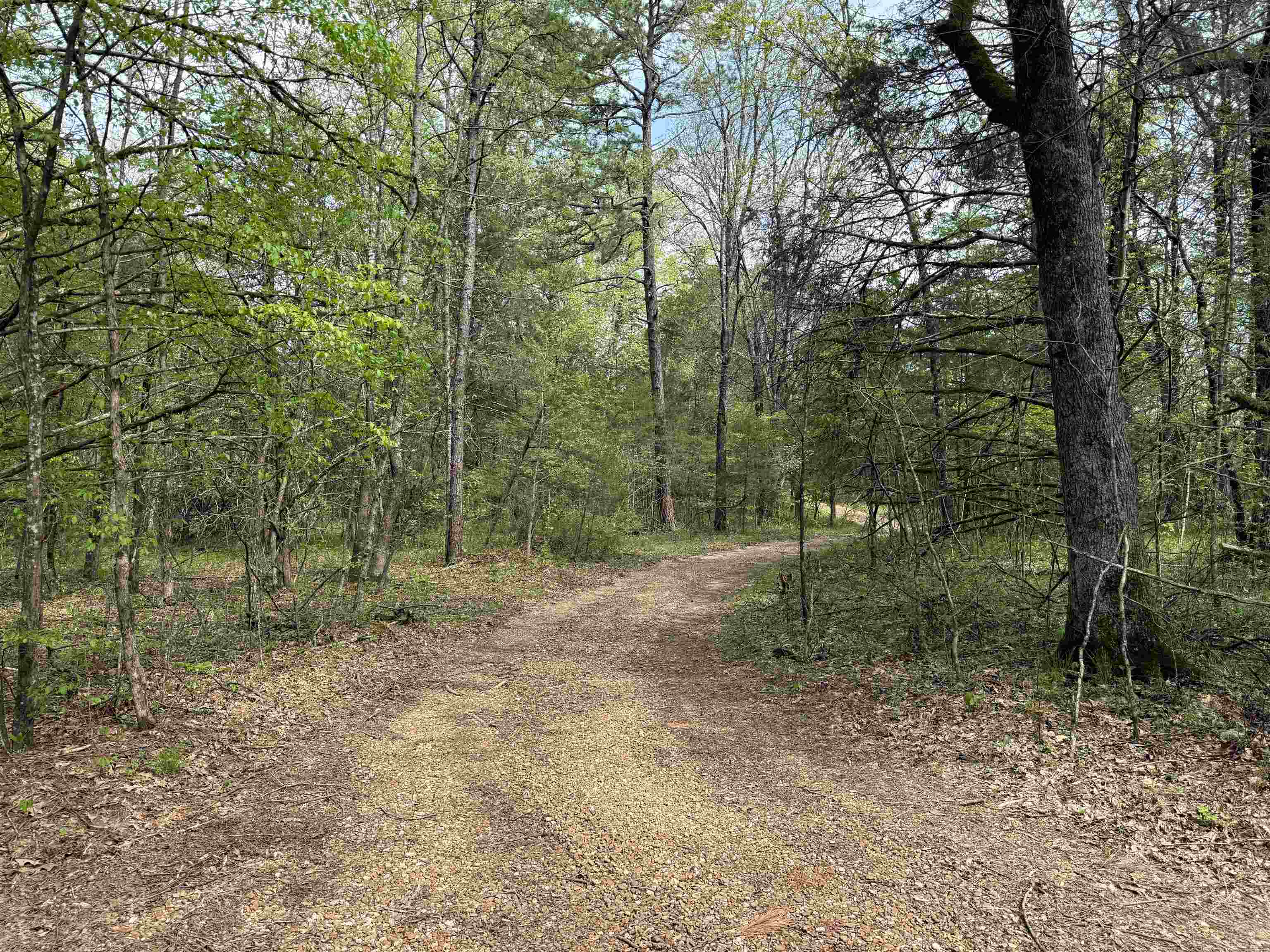 1343  Reb Lane  Calico Rock, AR