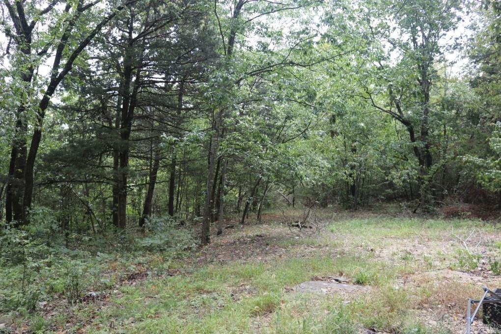 121  Wickham  Mountain View, AR