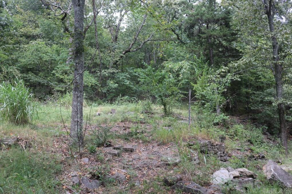 121  Wickham  Mountain View, AR