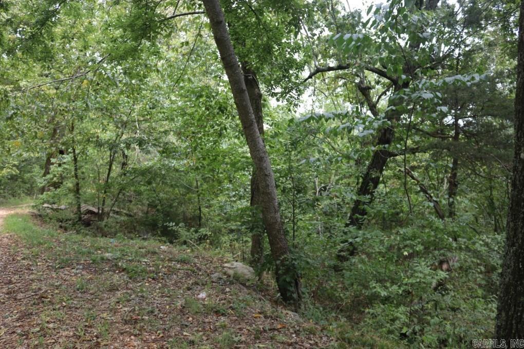 121  Wickham  Mountain View, AR