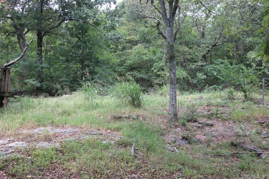 121  Wickham  Mountain View, AR