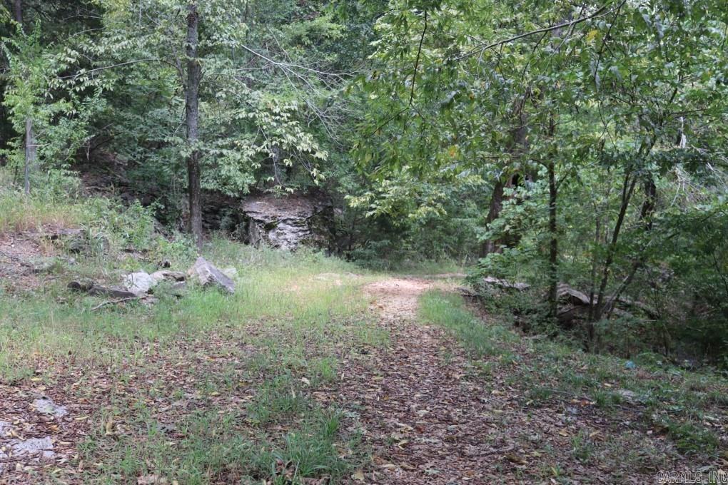 121  Wickham  Mountain View, AR